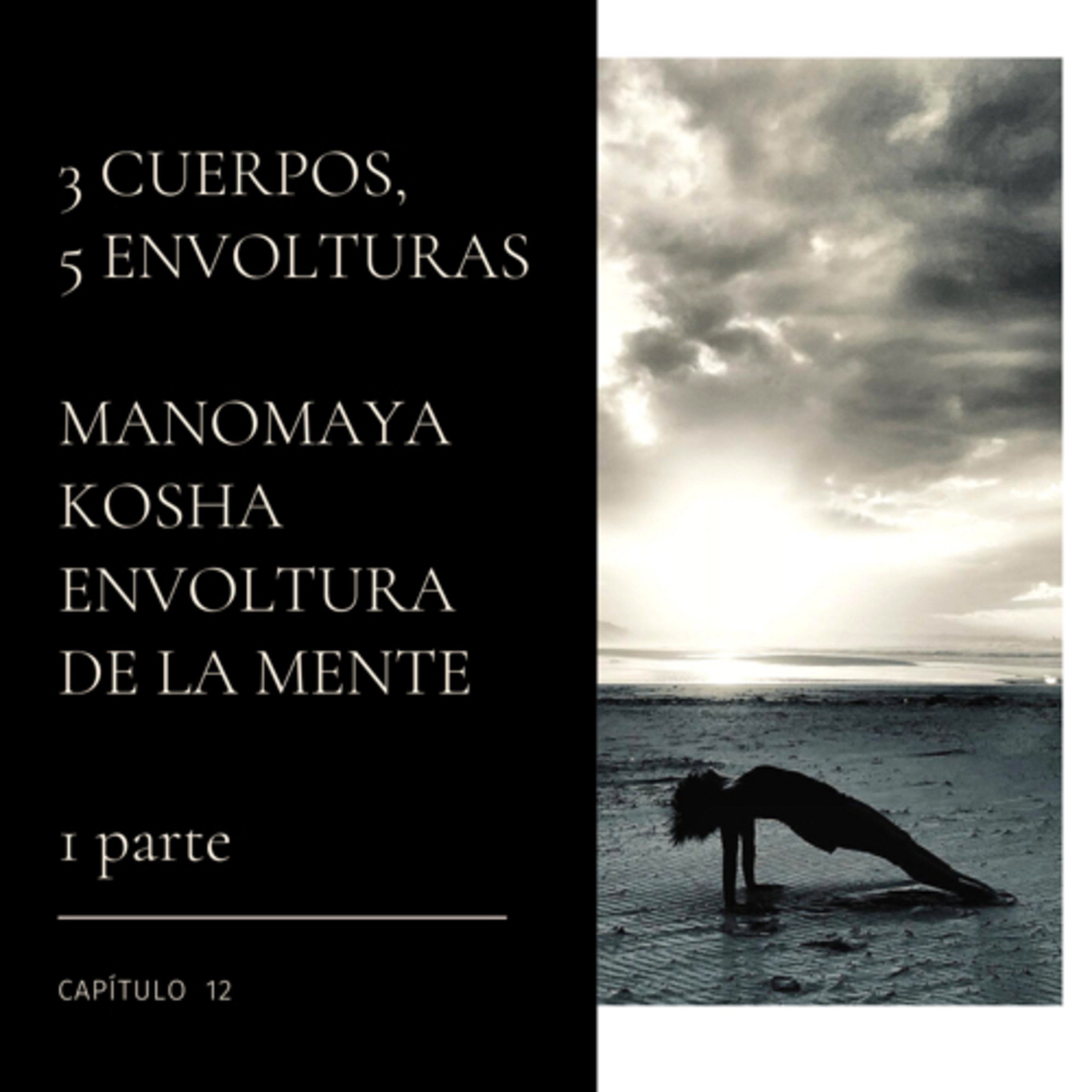 Hablemos sobre Yoga