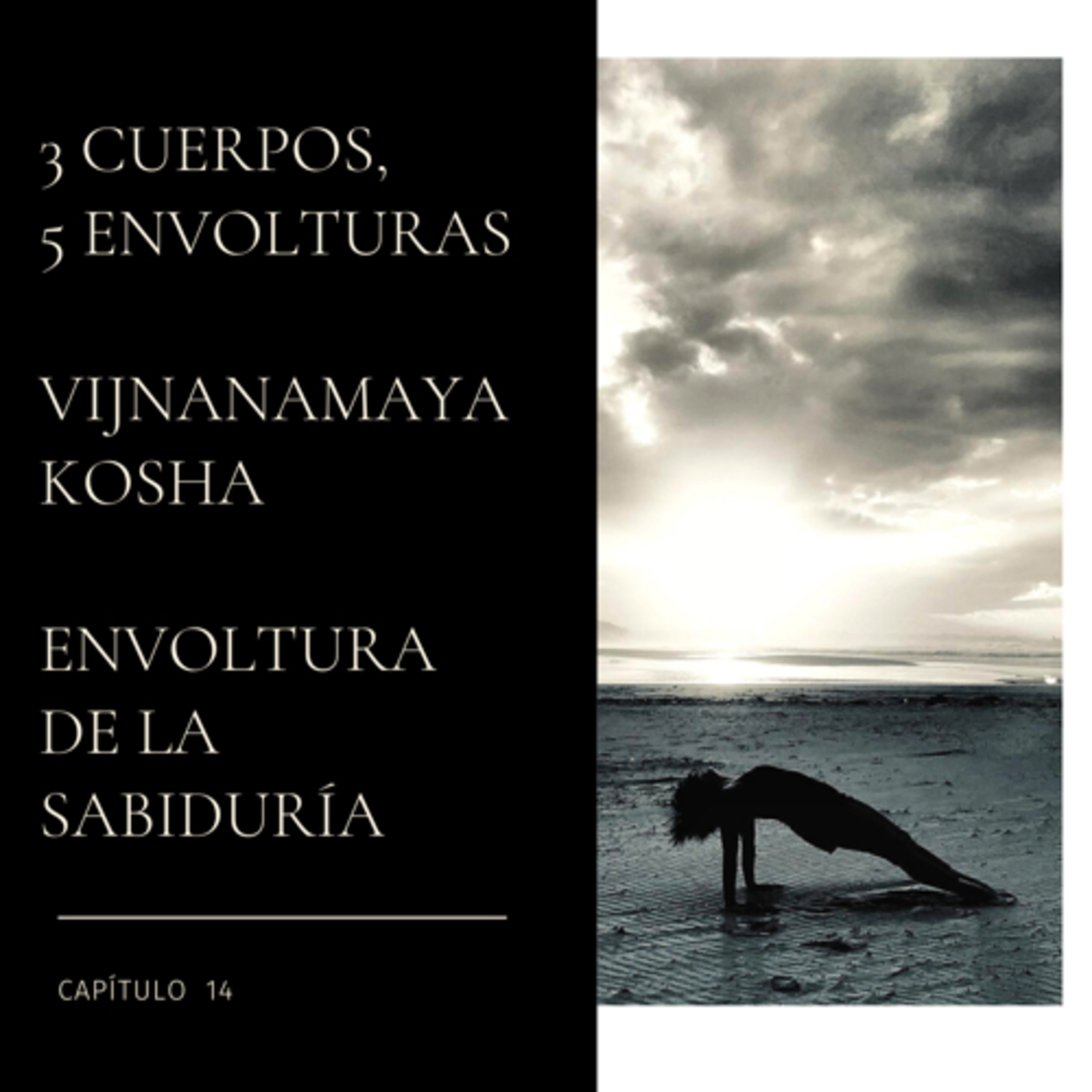 Hablemos sobre Yoga