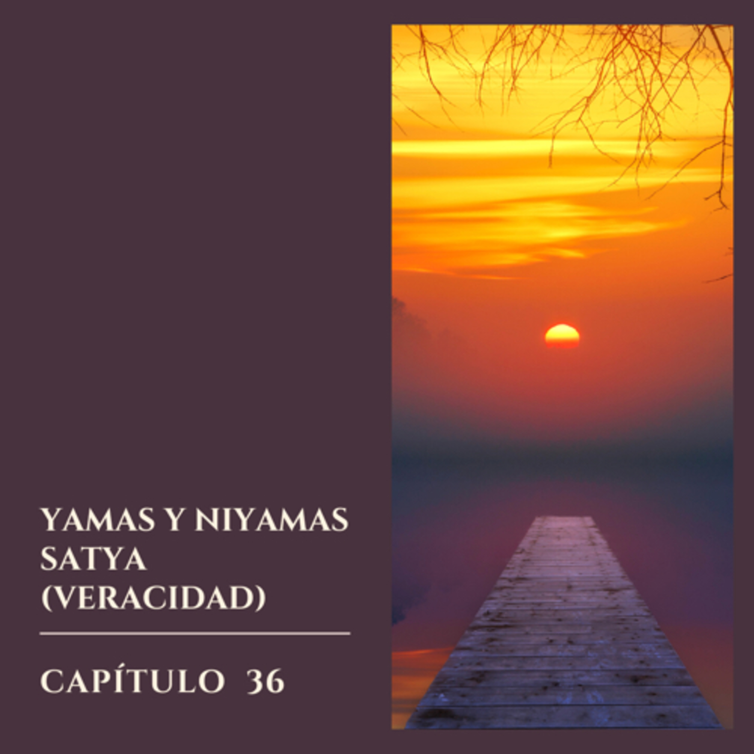 Hablemos sobre Yoga