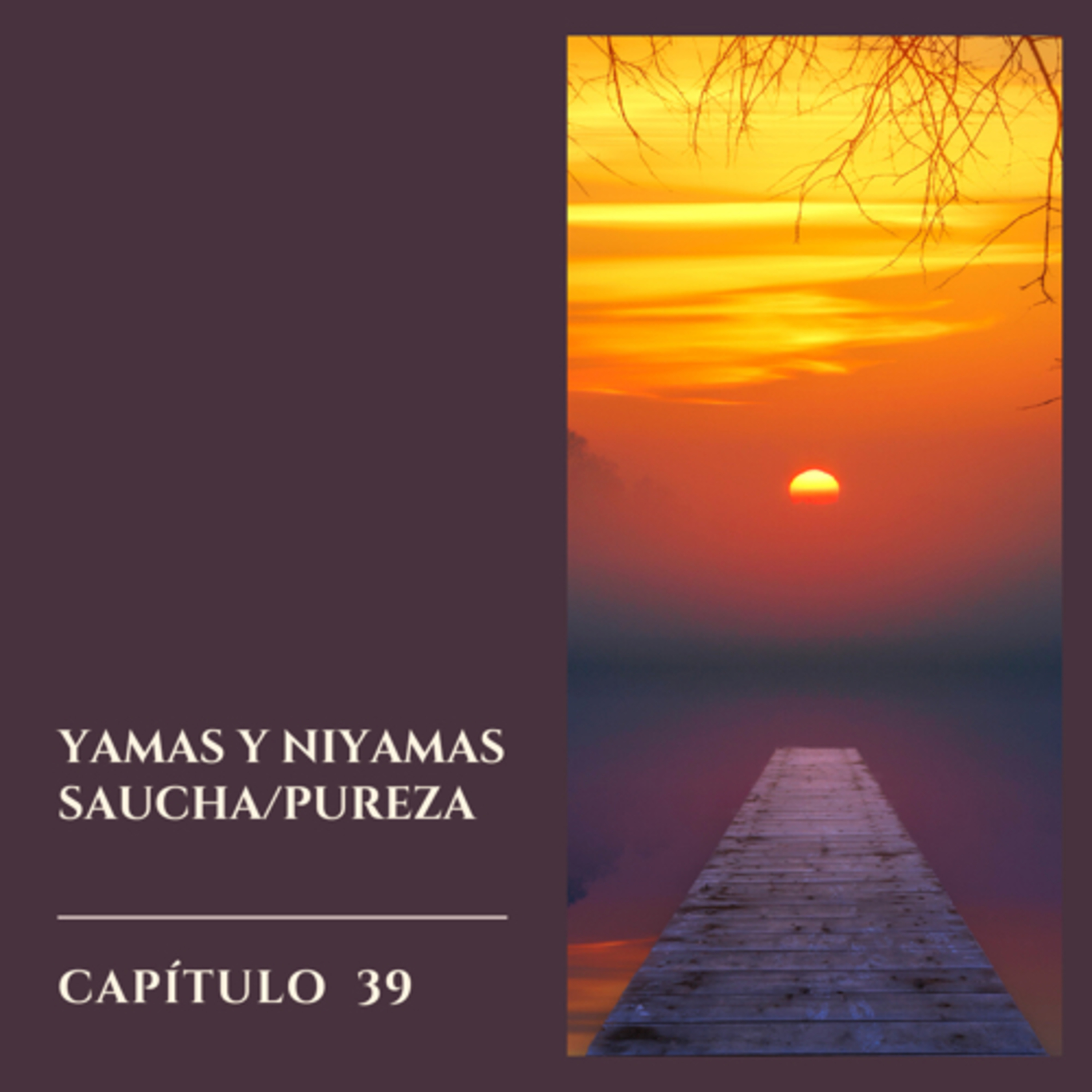 Hablemos sobre Yoga