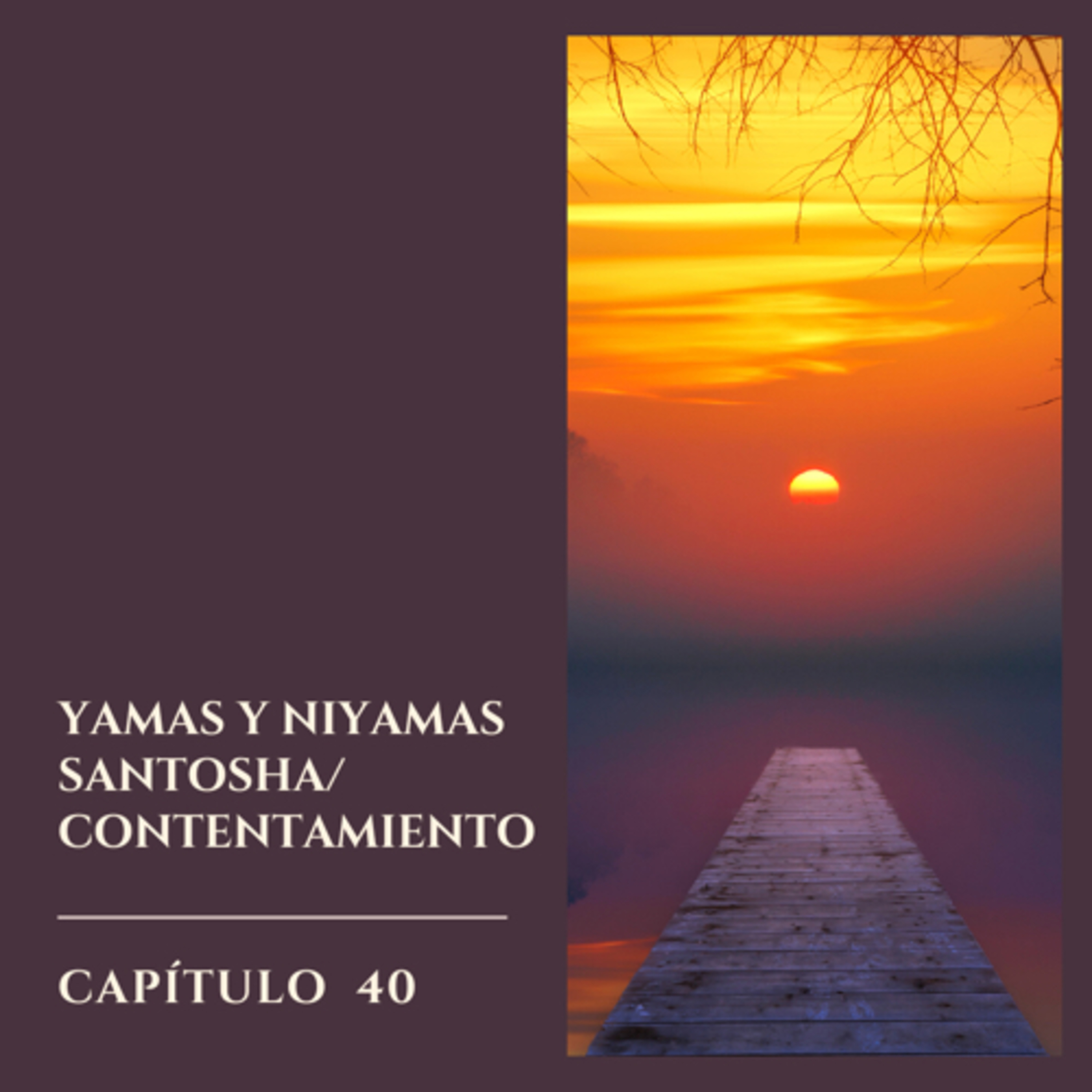 Hablemos sobre Yoga