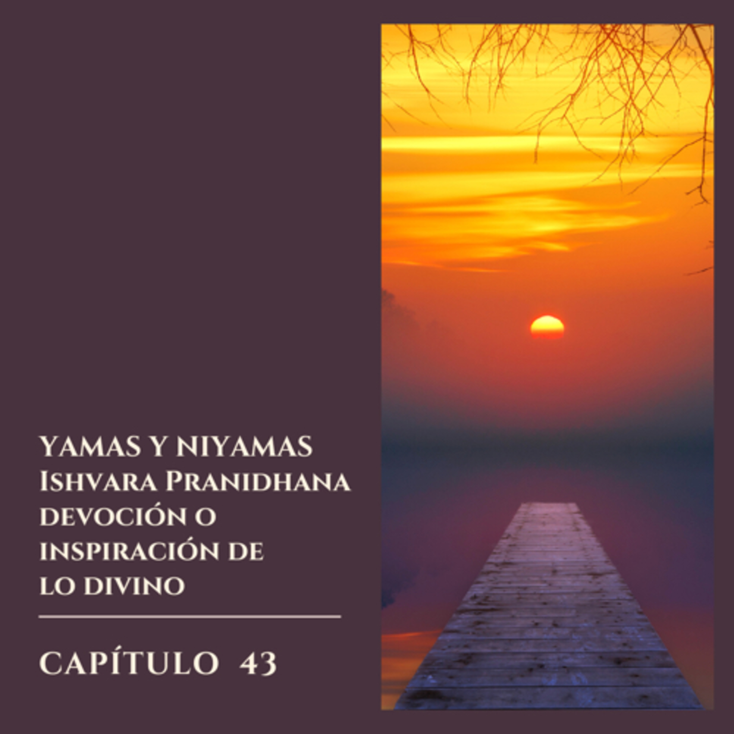 Hablemos sobre Yoga