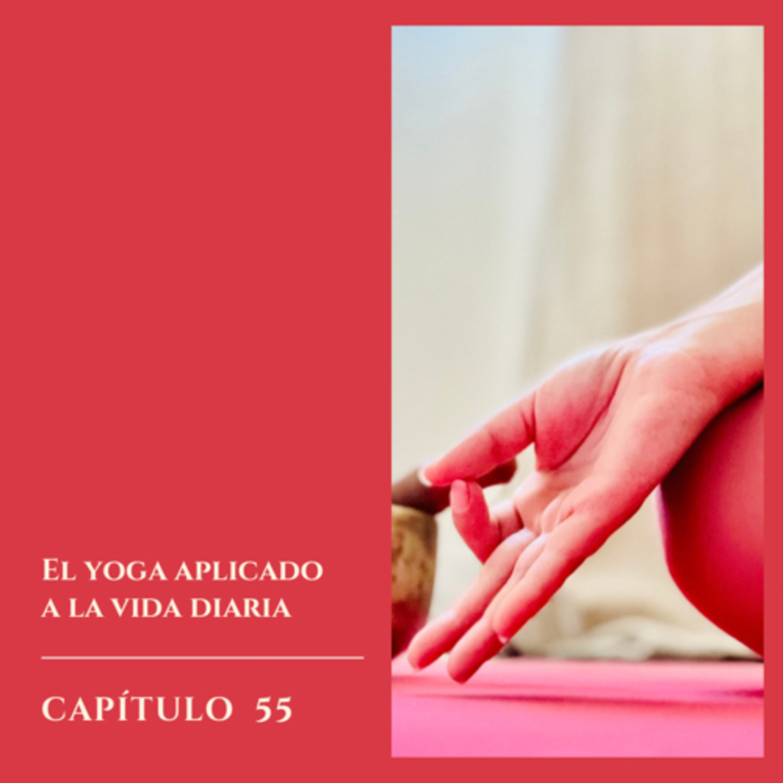 Hablemos sobre Yoga