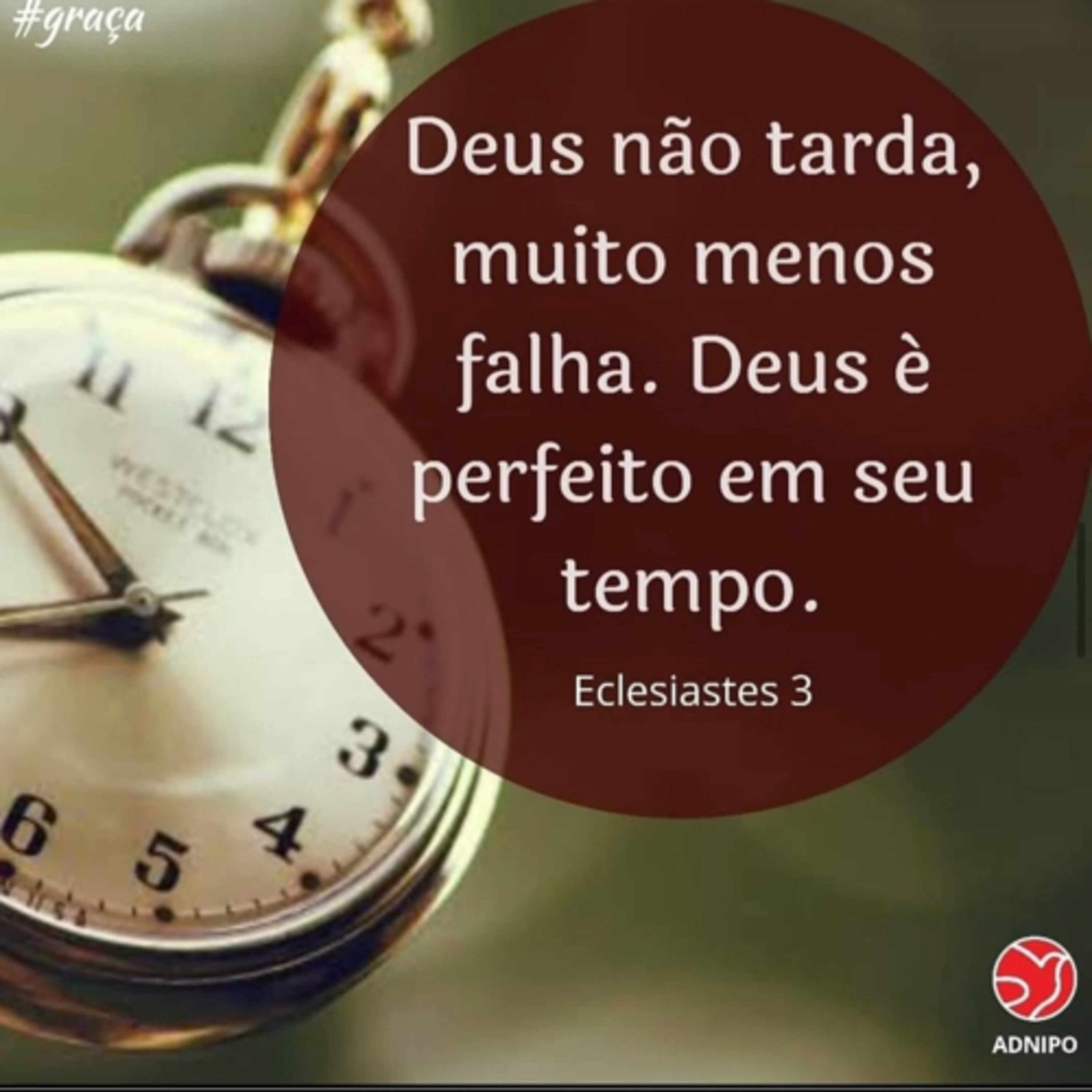 ADNIPO INTERNATIONAL 🇵🇹 CHURCH