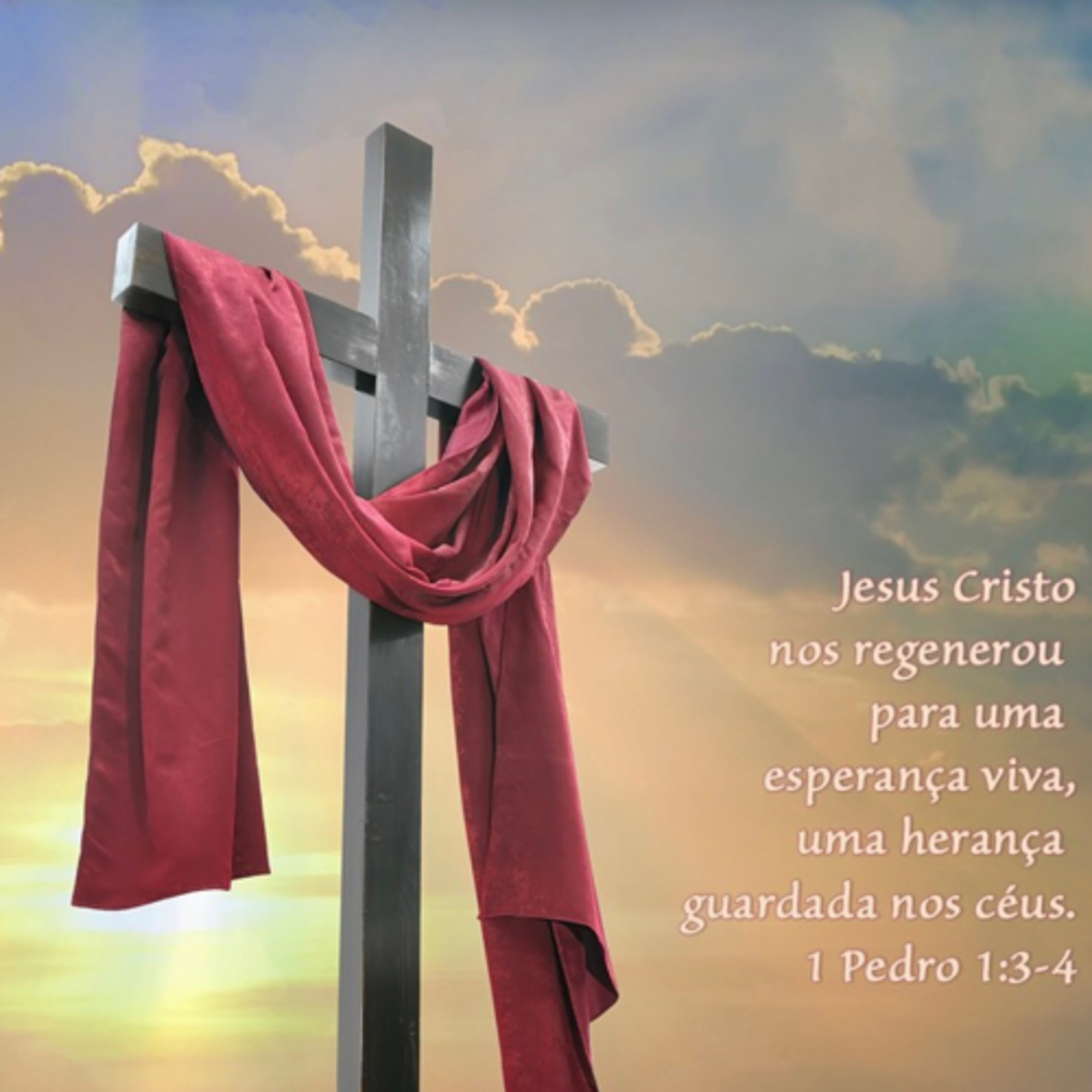 ADNIPO INTERNATIONAL 🇵🇹 CHURCH