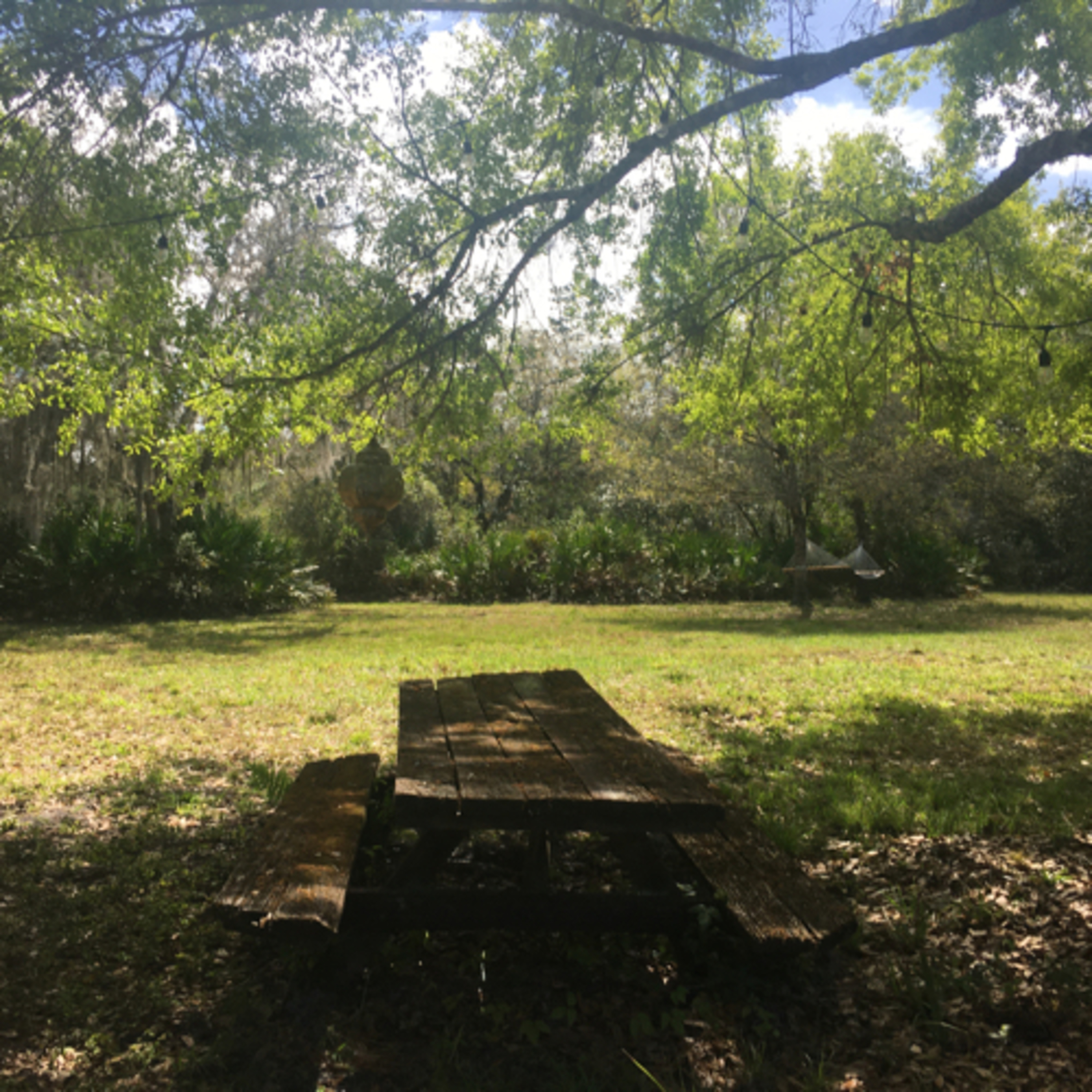 The Natureschooling podcast
