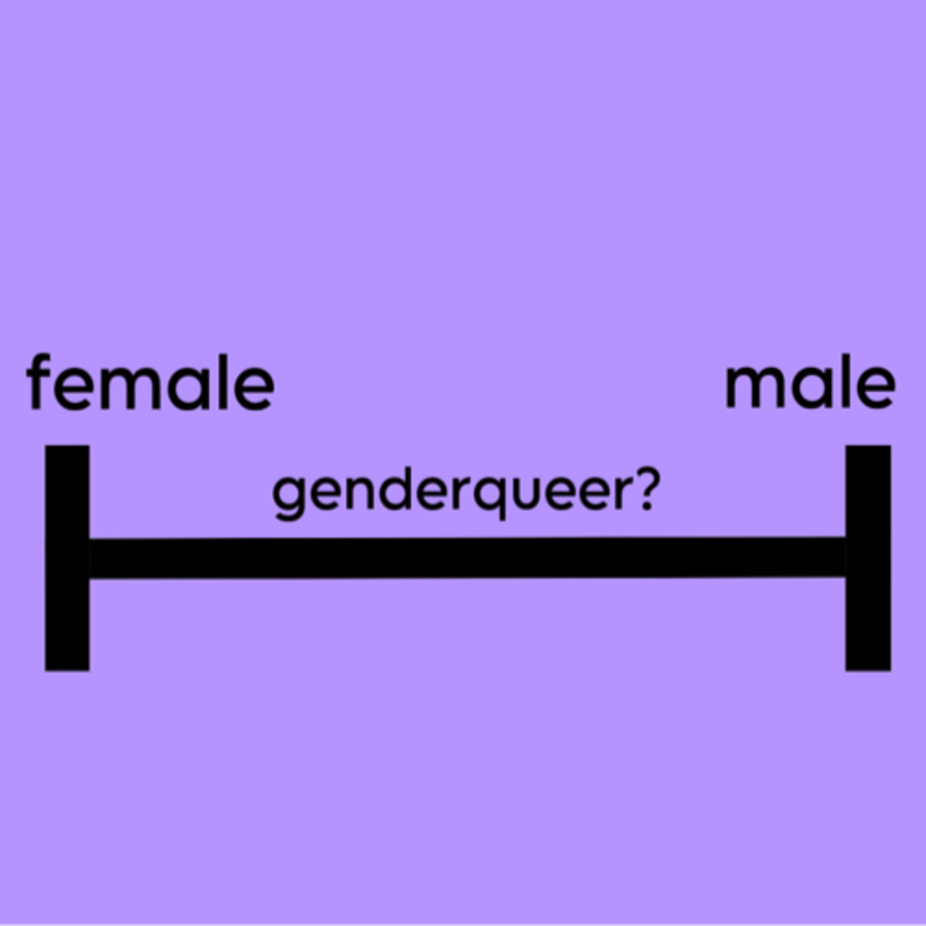 are genderqueer people in between "man" and "woman"? episode artwork