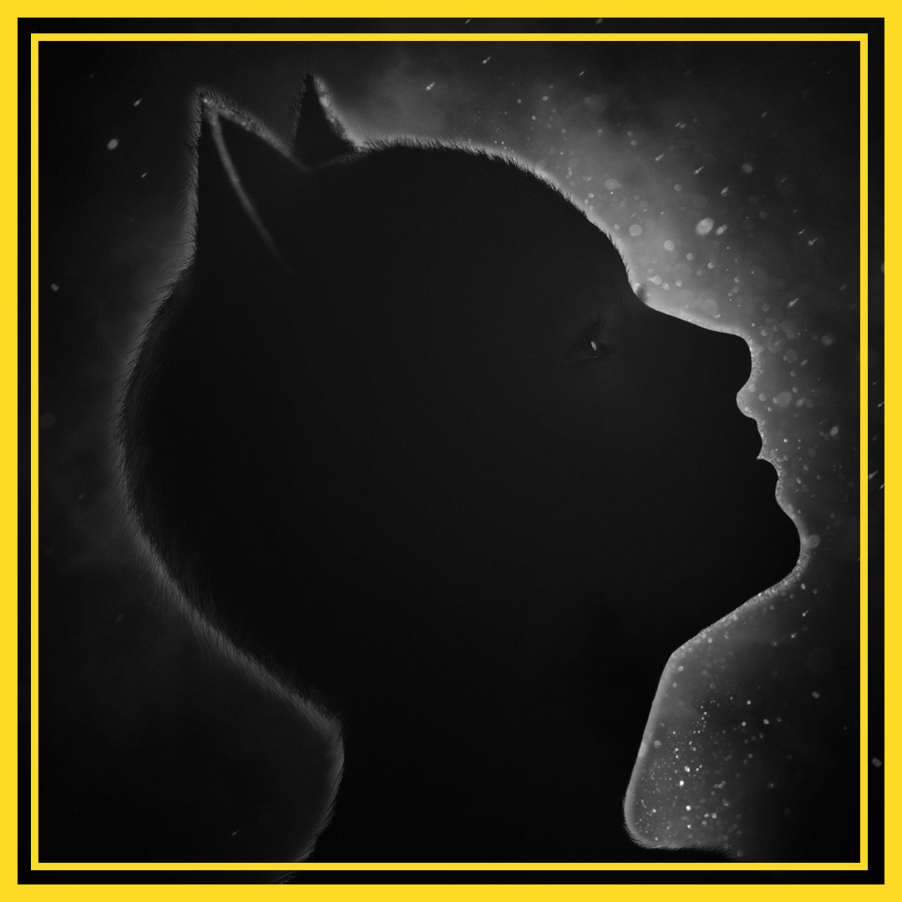 T02 E21: Cats con Andrés R. Paredes y Alberto Corona