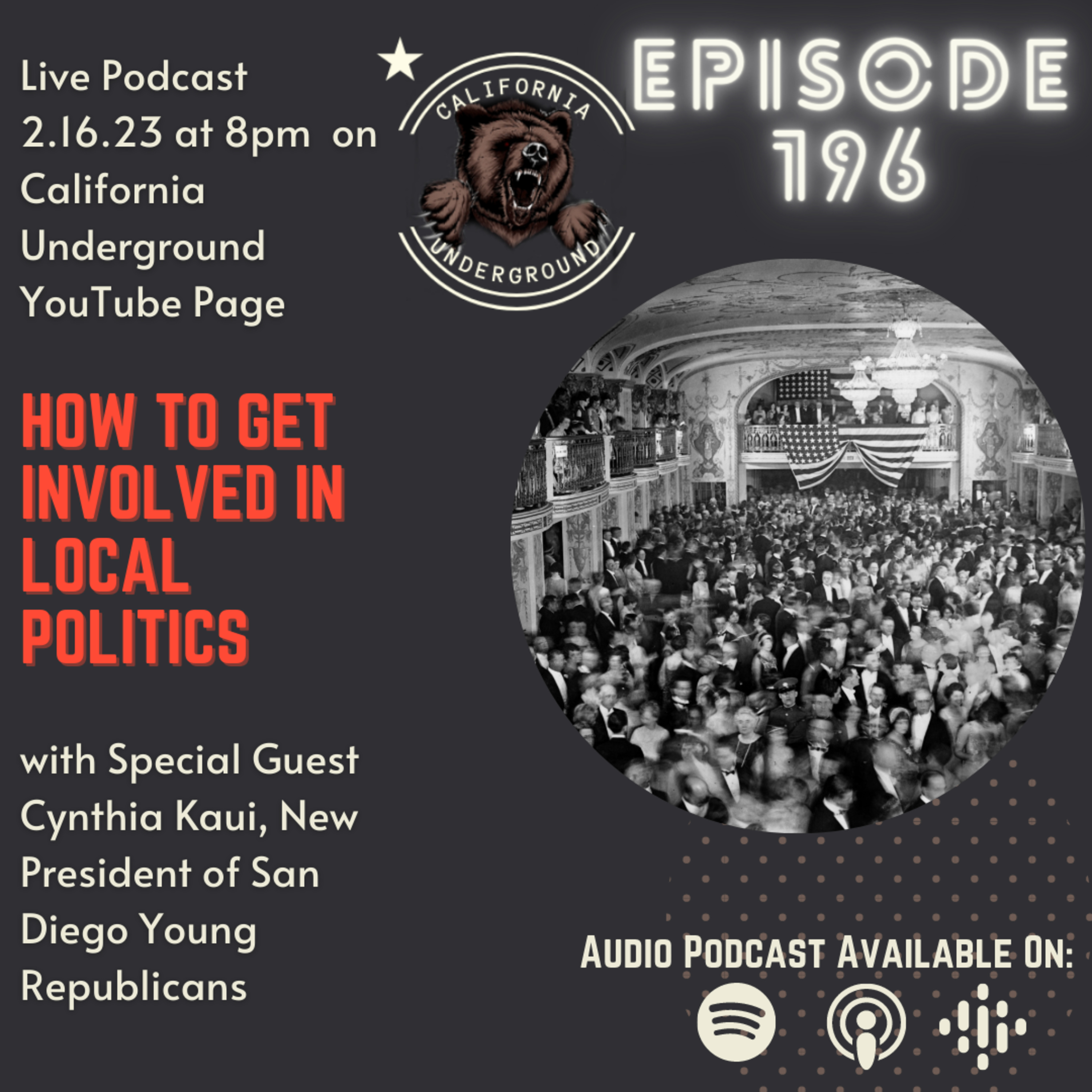 Episode 196 - How to Get Involved in Local Politics (w/ guest Cynthia Kaui) episode artwork