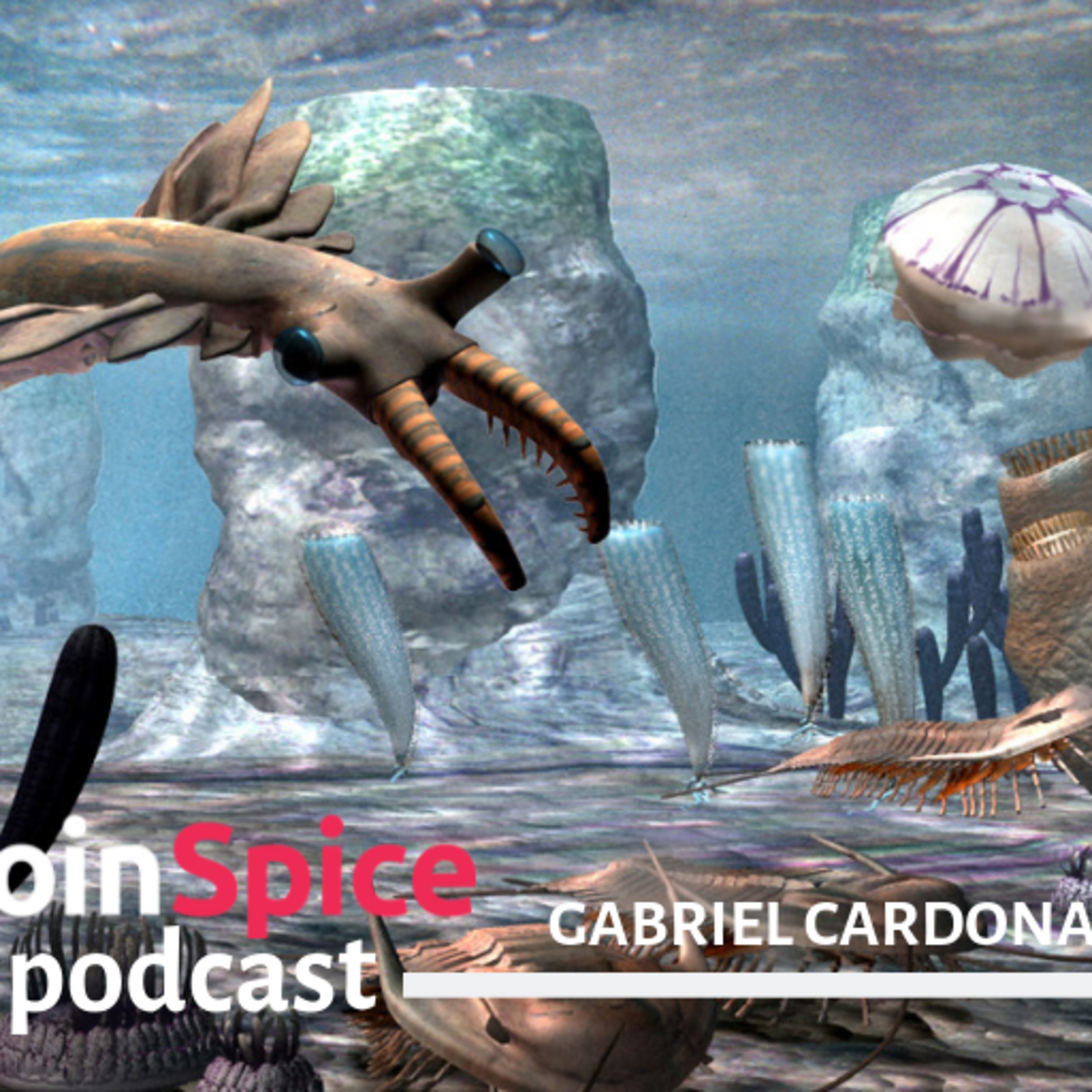 The CoinSpice Podcast