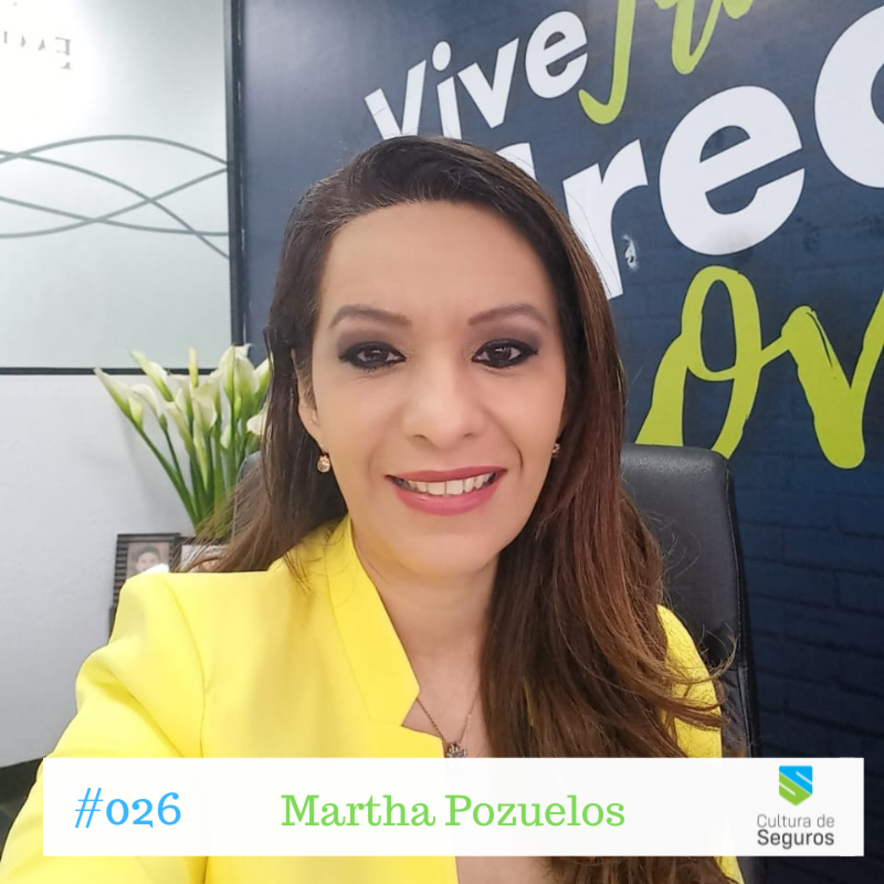 Cultura de Seguros