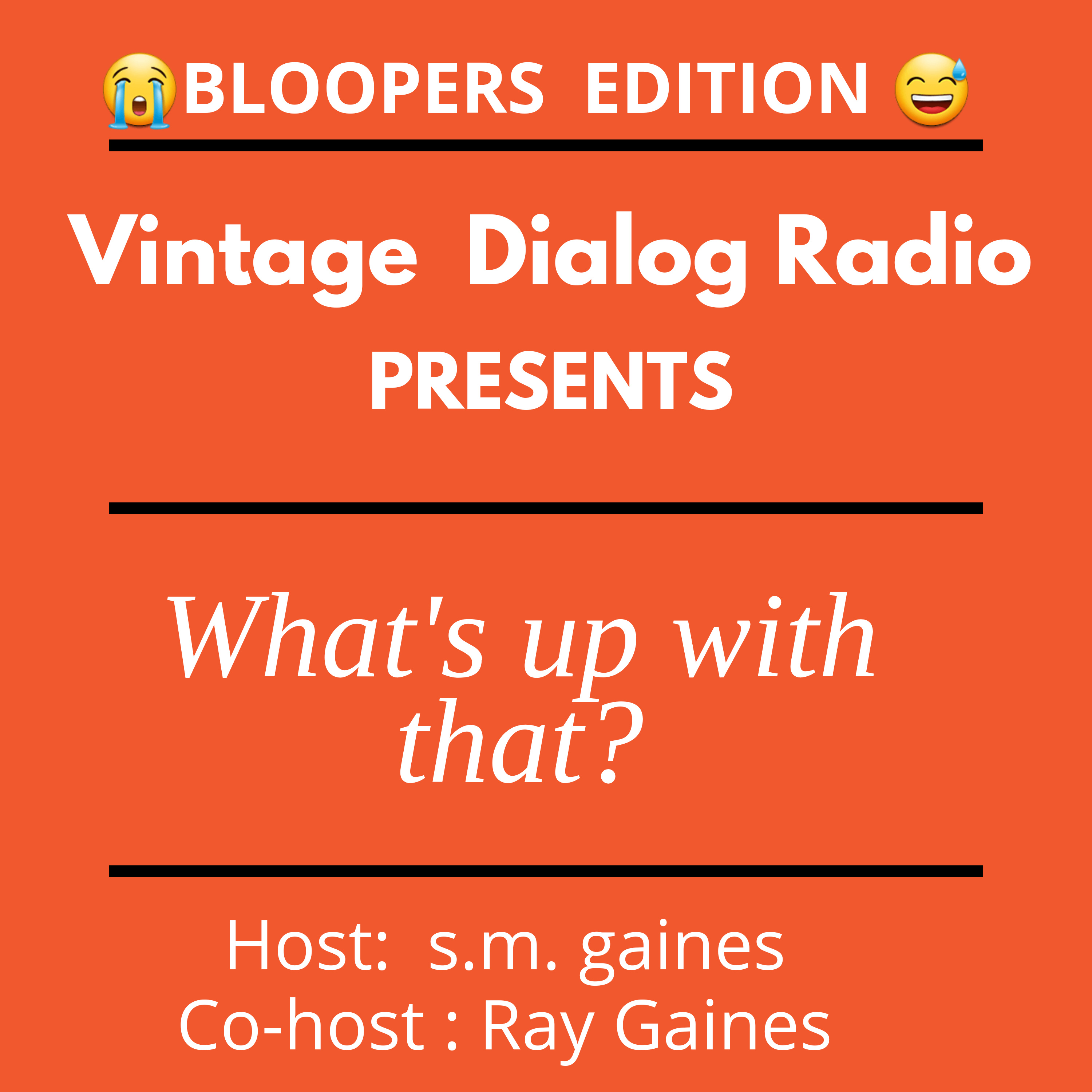 Bloopers - Vol: 5 episode artwork