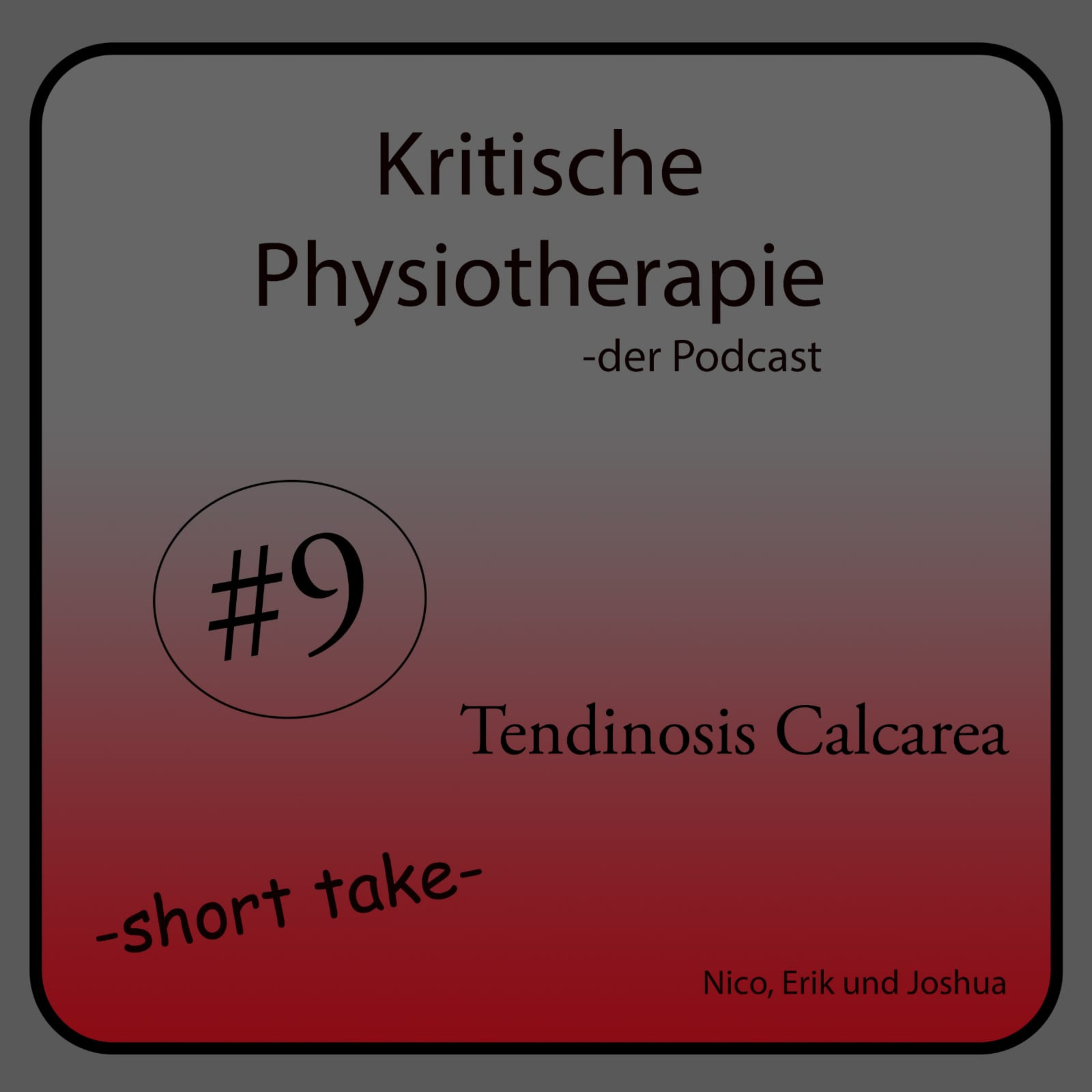 Die Kritische Physiotherapie