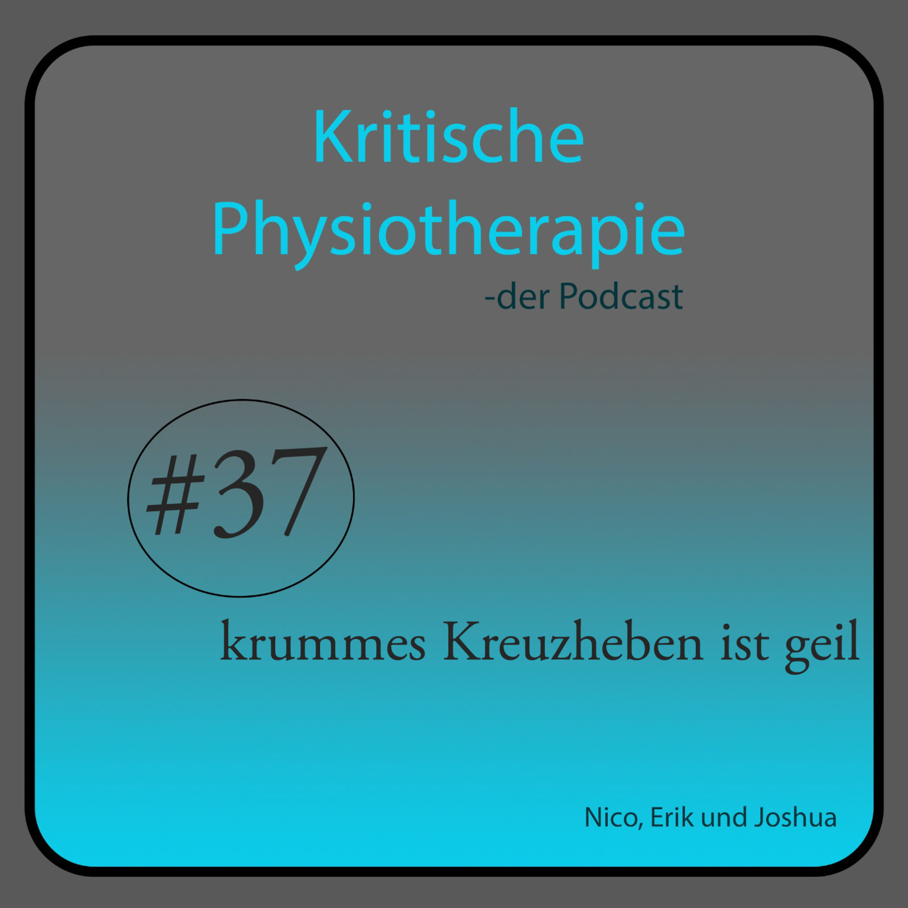 Die Kritische Physiotherapie