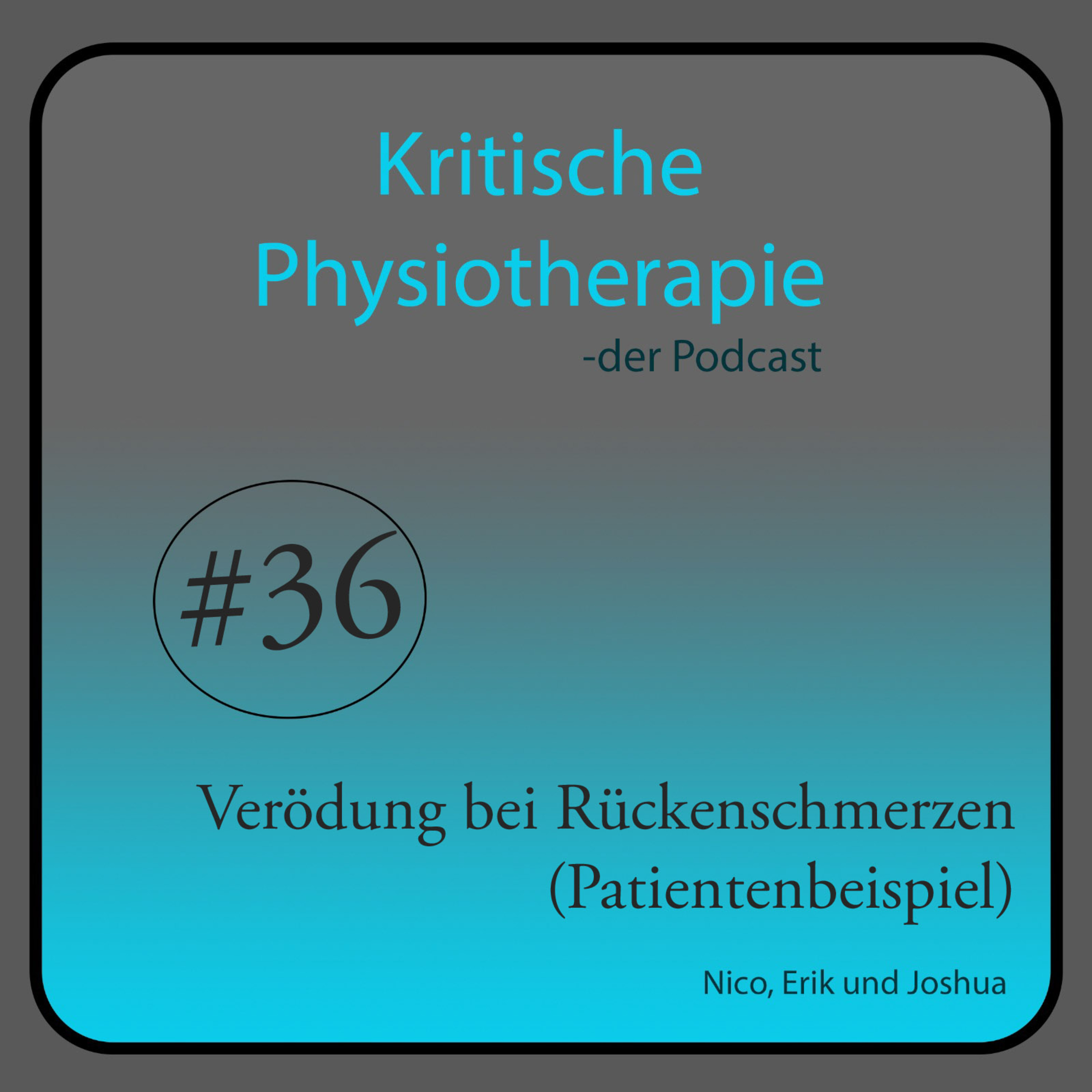 Die Kritische Physiotherapie
