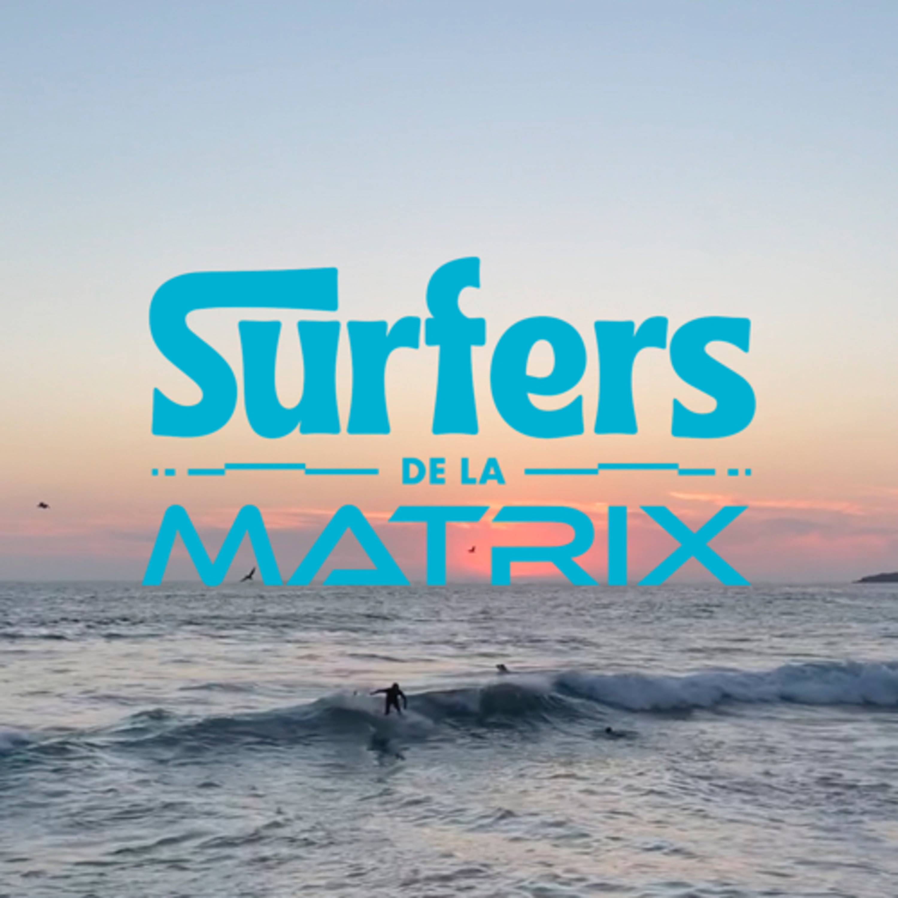 Surfers de la matrix