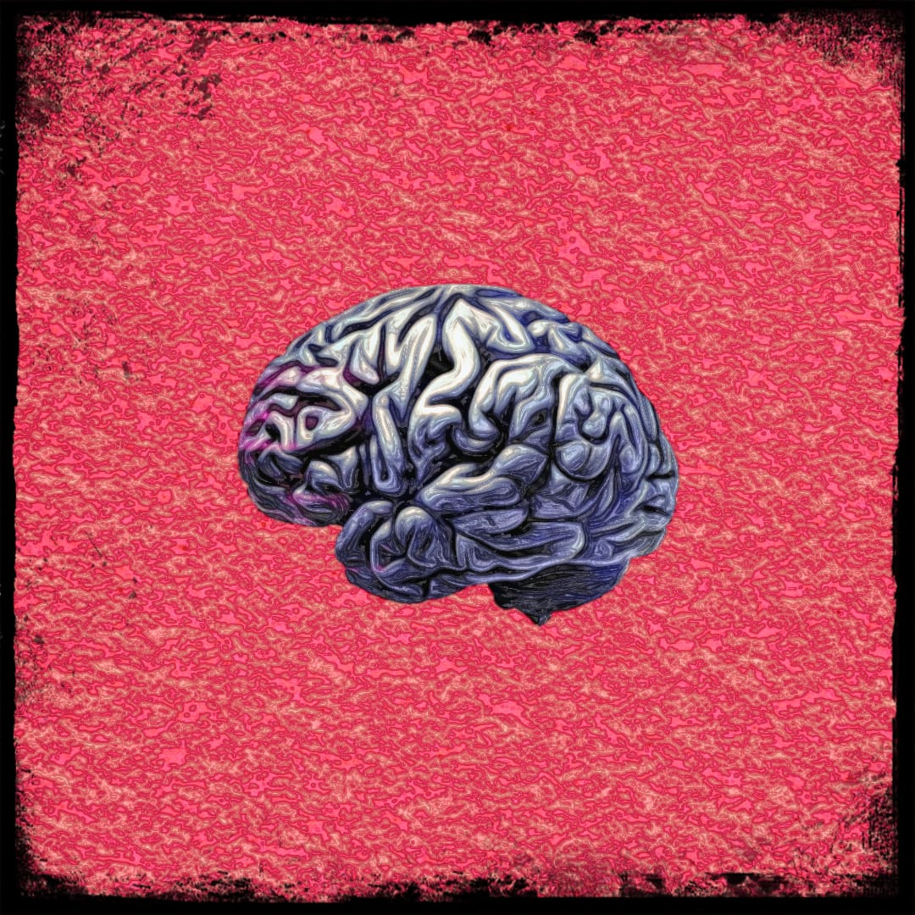 Dilemas, Ideas & Vidas