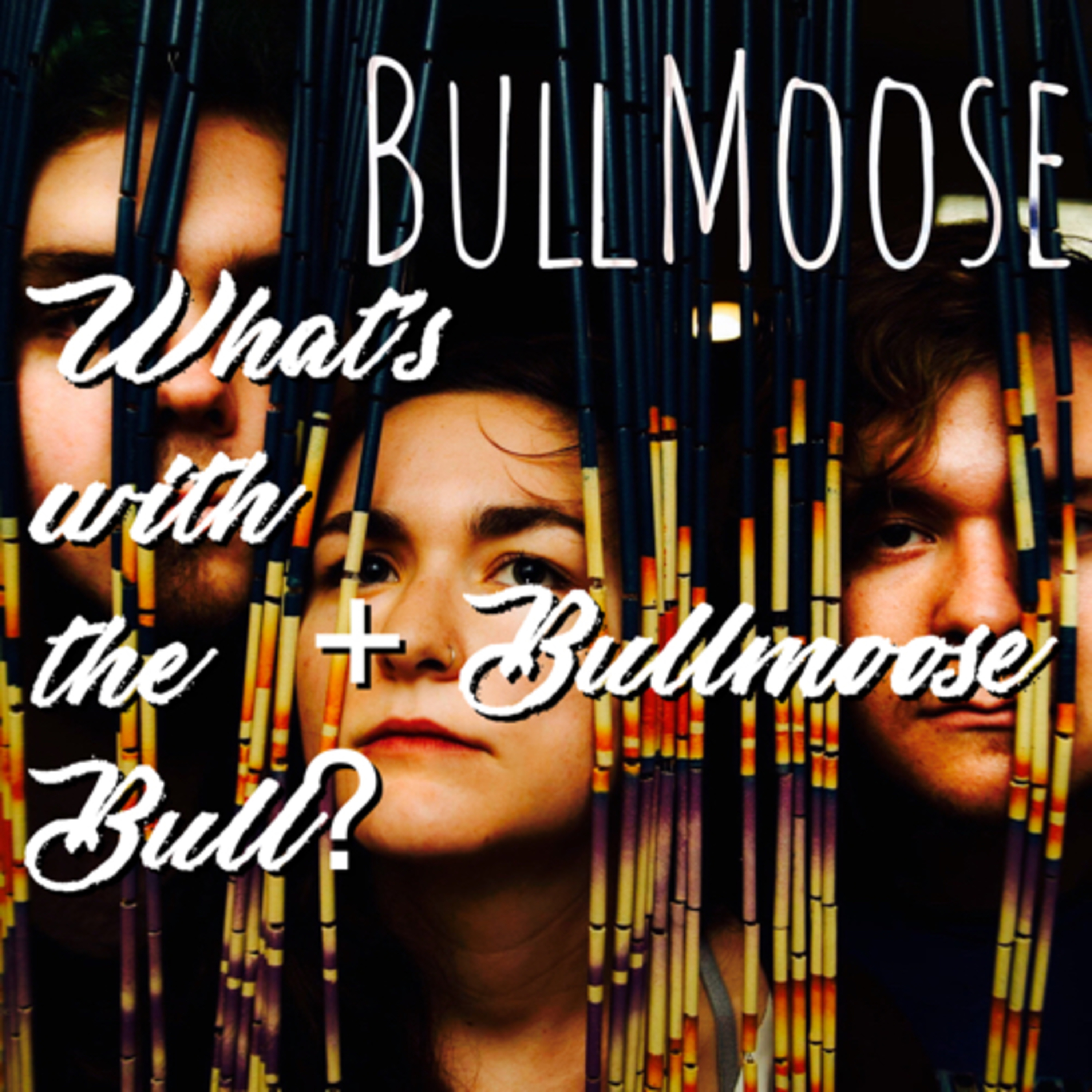 What’s with the Bull/Bullmoose  episode artwork