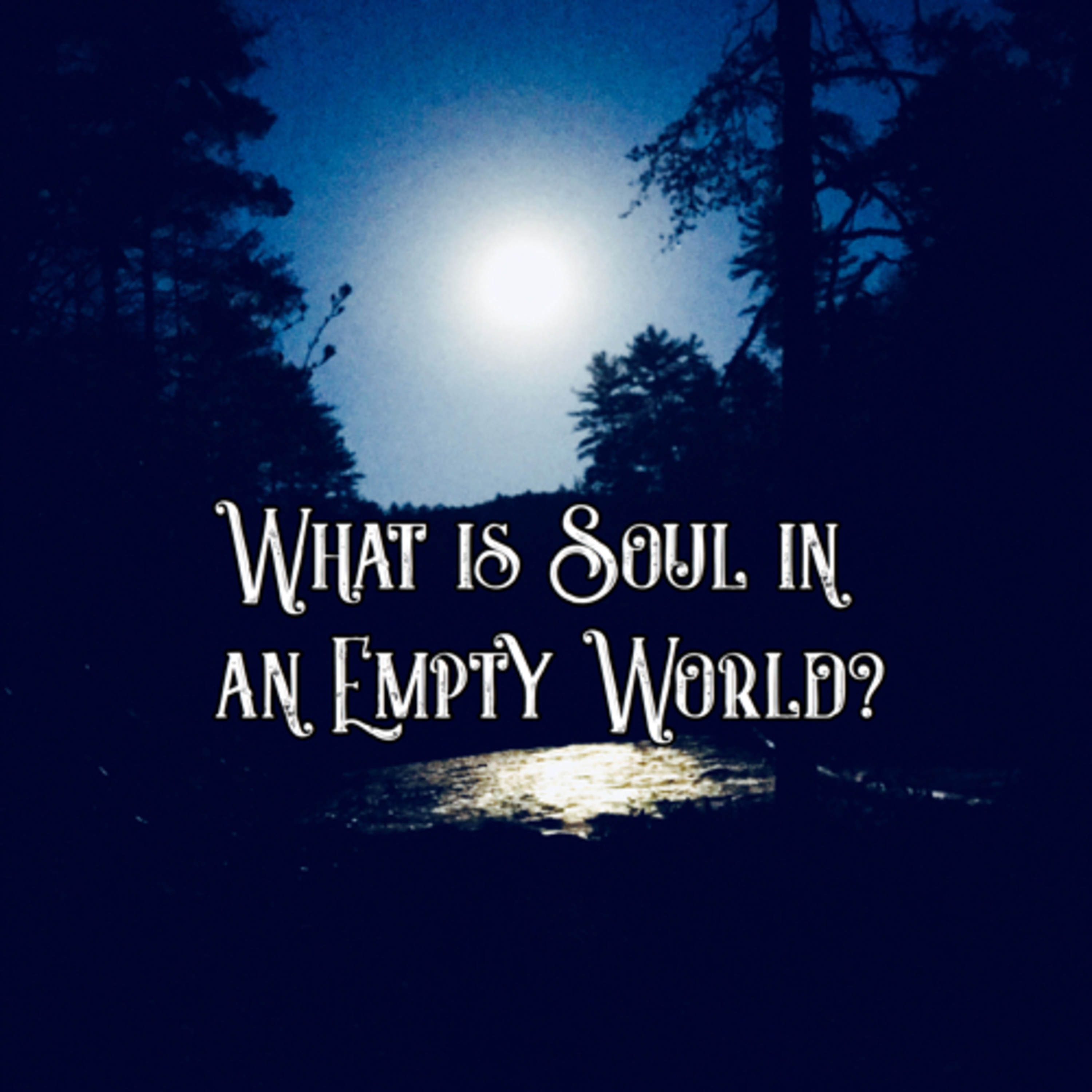 What is Soul in an Empty World? What is Soul in an Empty World?