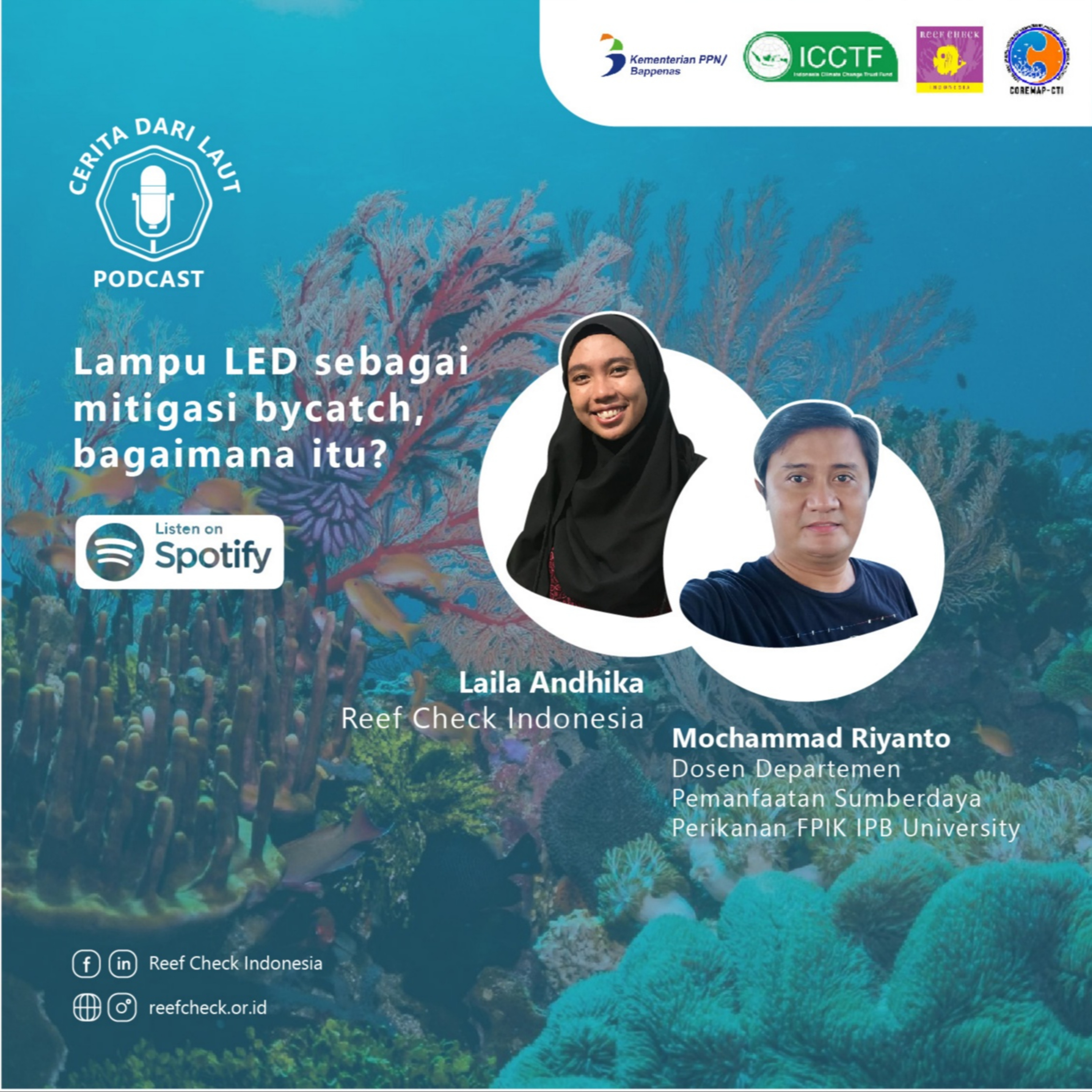 Cerita dari Laut