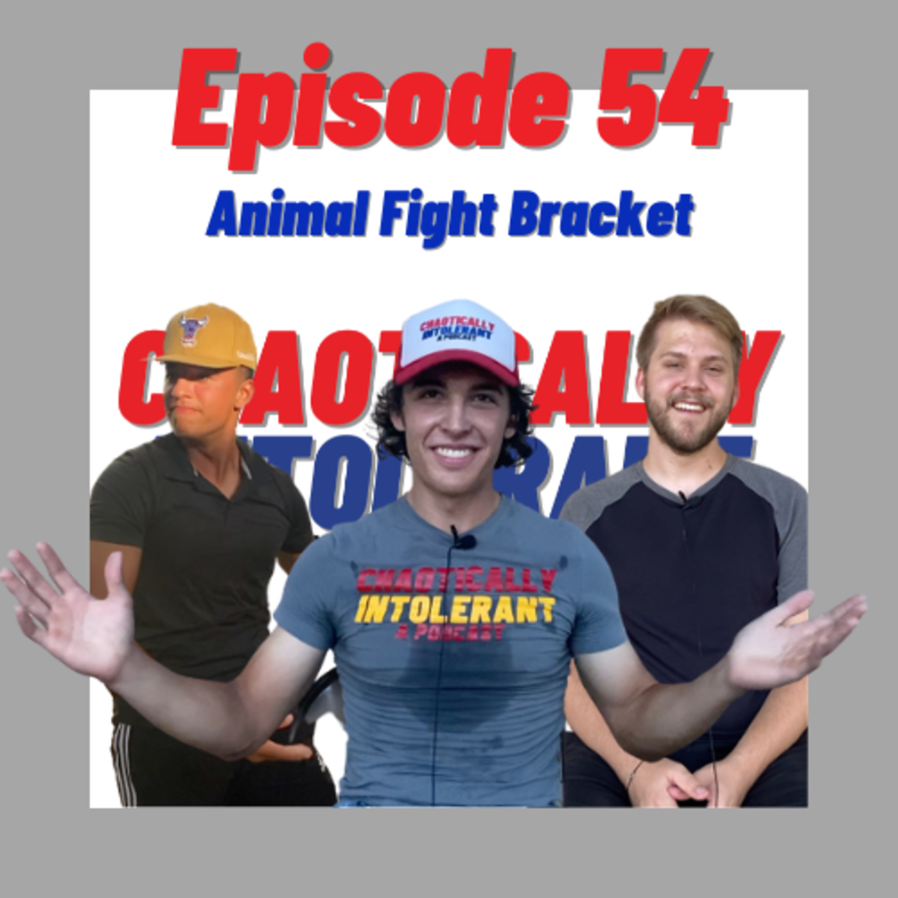 EPISODE 54- ANIMAL FIGHT BRACKET episode artwork