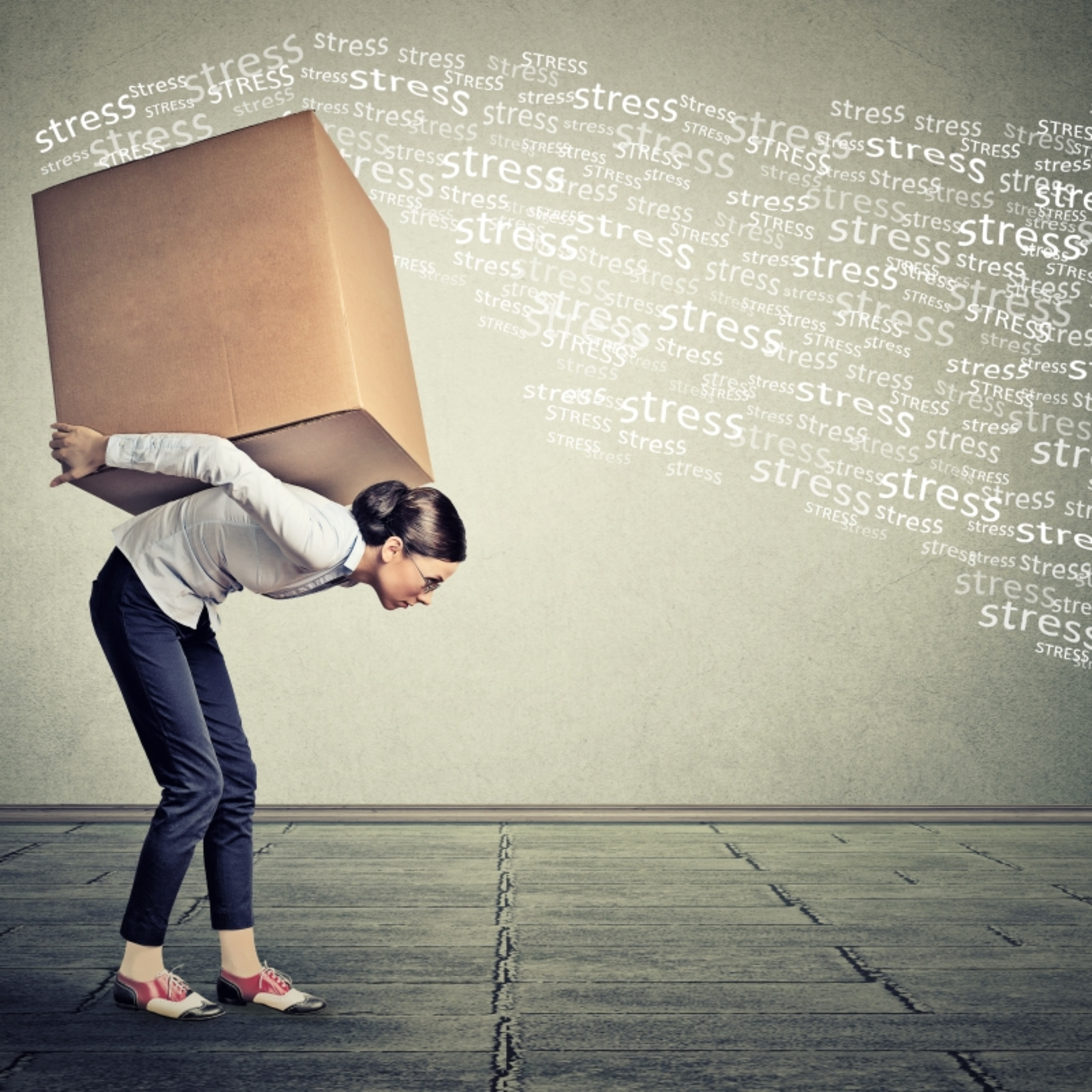 7 atrasos de vida I Daniel Sales