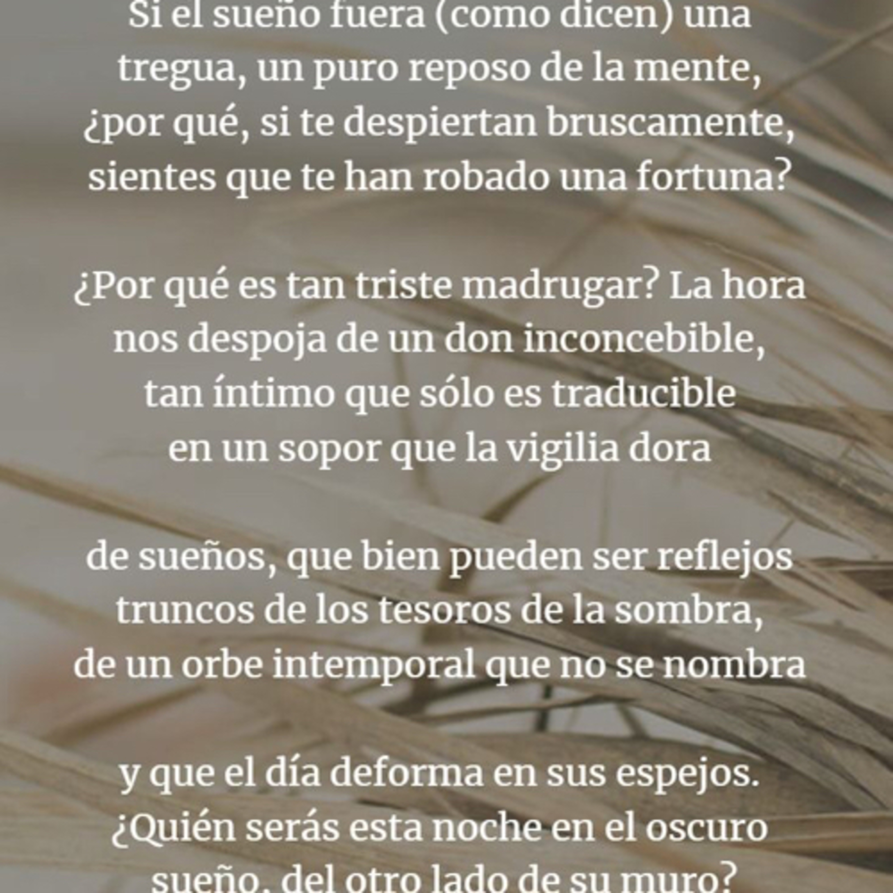Poemas y Fragmentos 📖