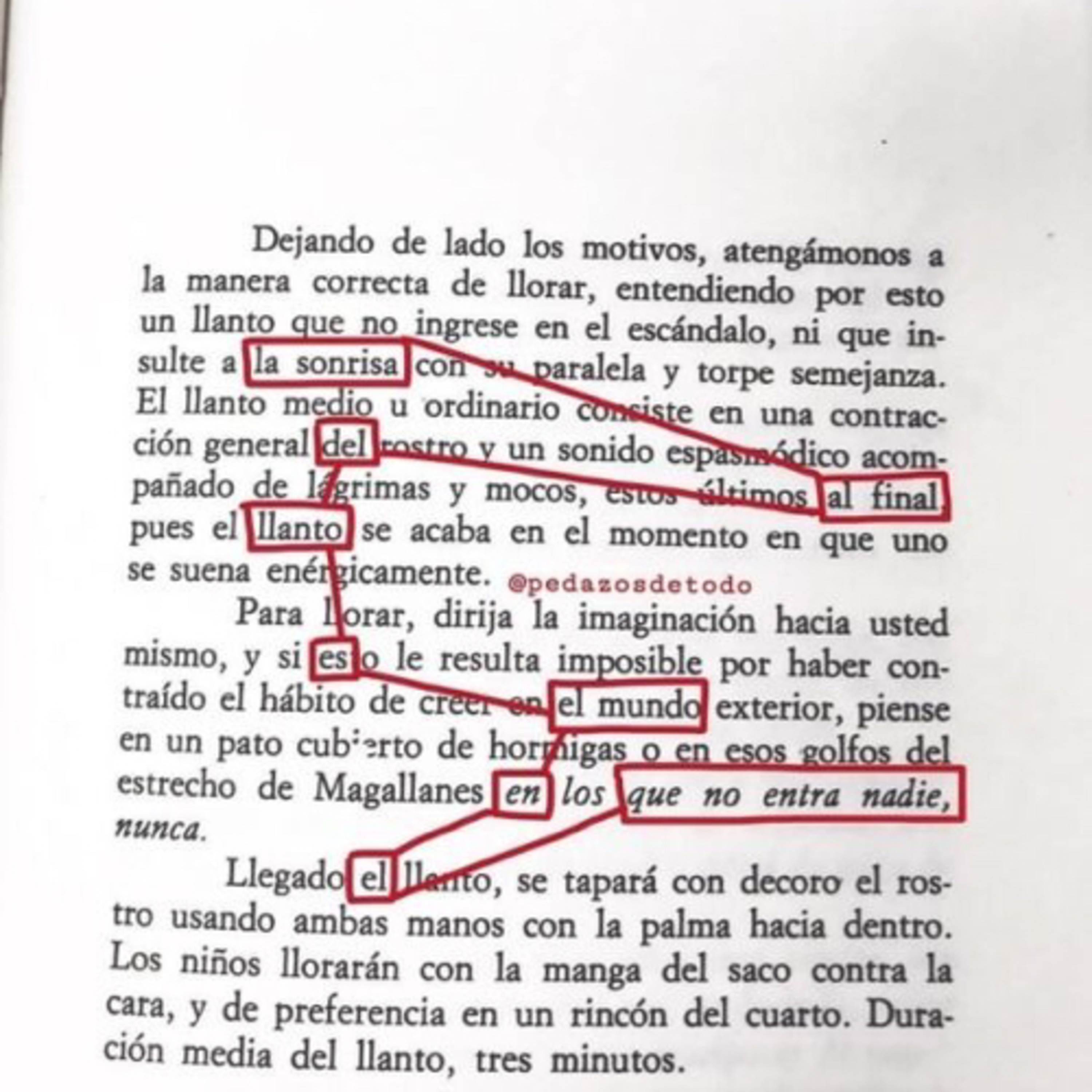 Poemas y Fragmentos 📖