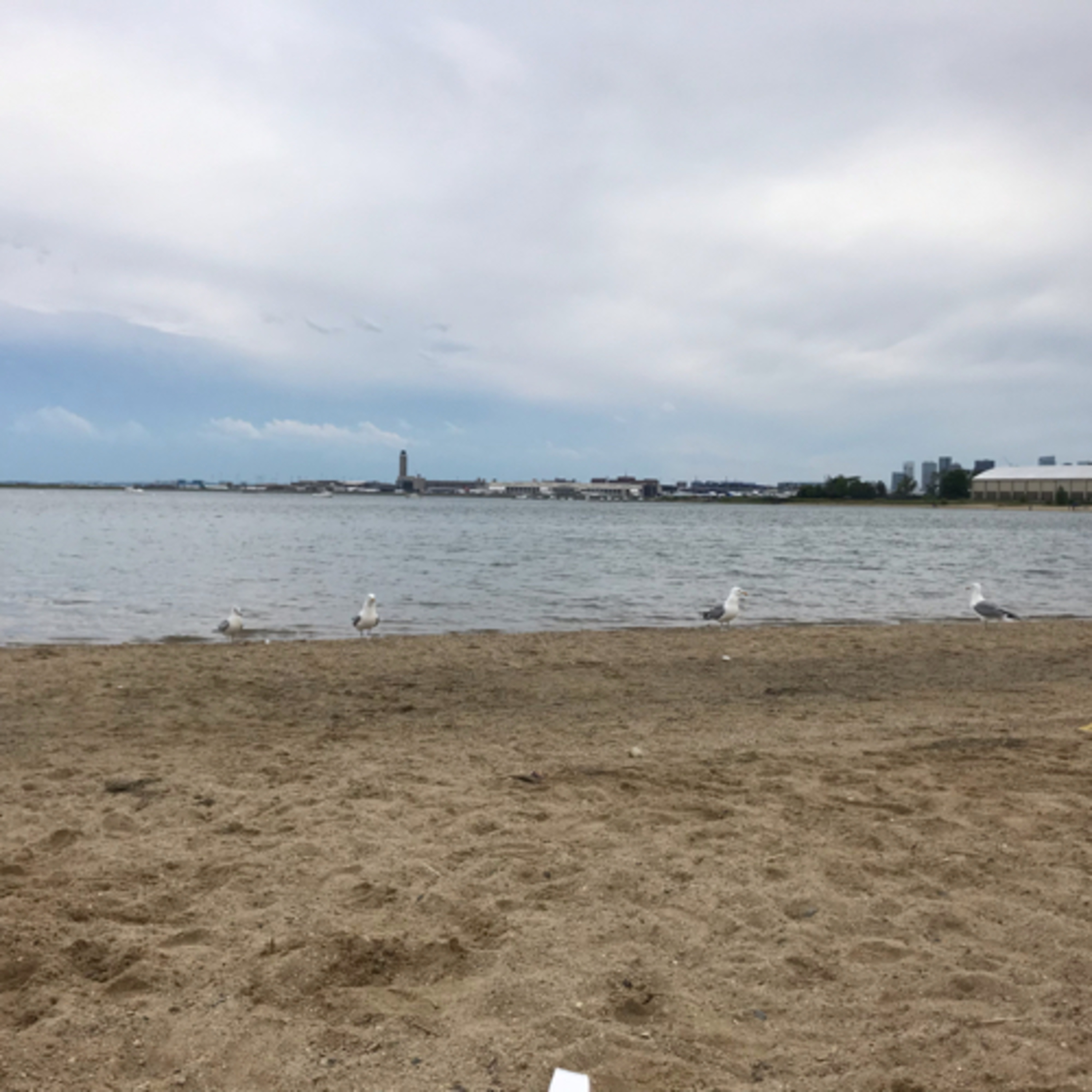 Poemas y Fragmentos 📖