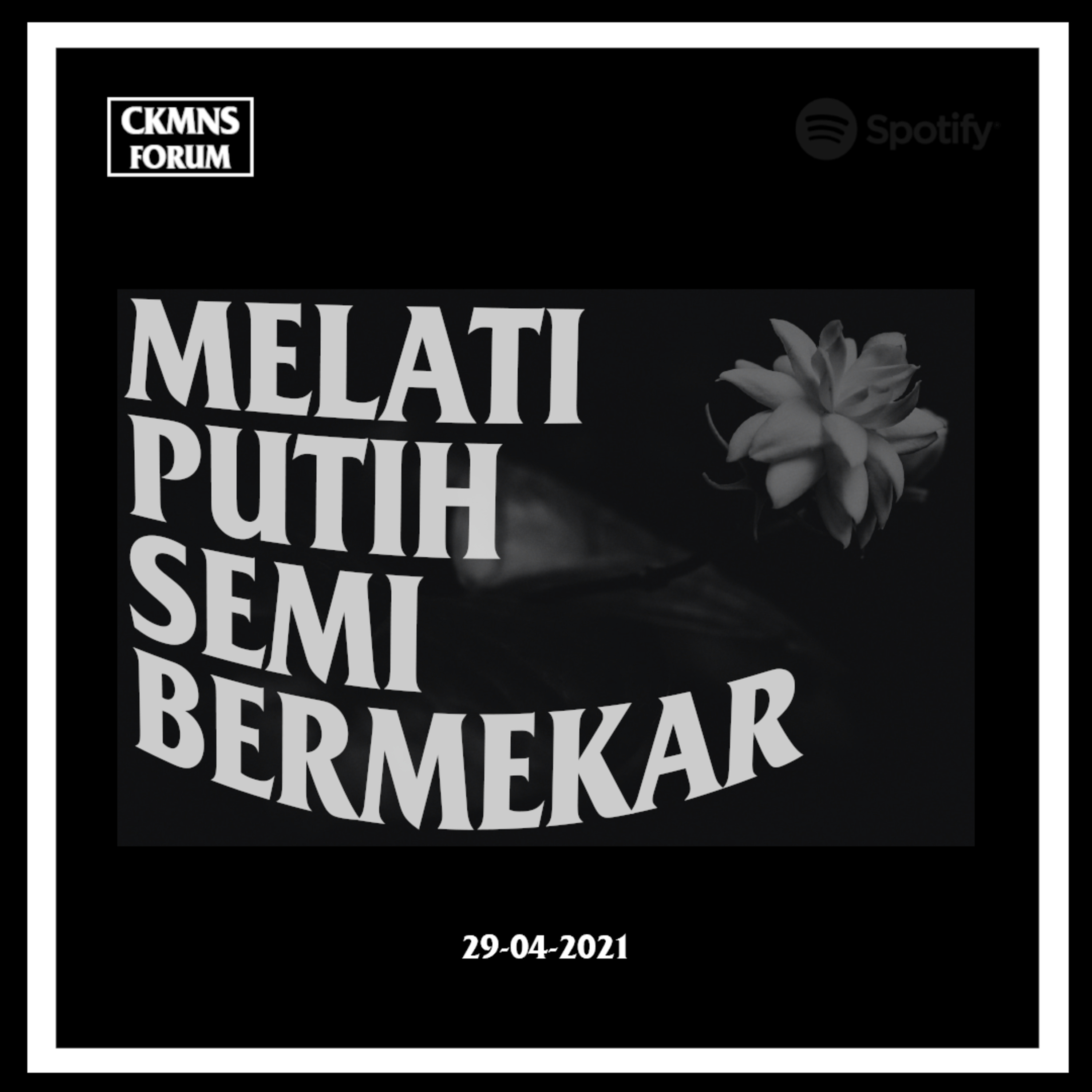 Melati Putih Semi Bermekar