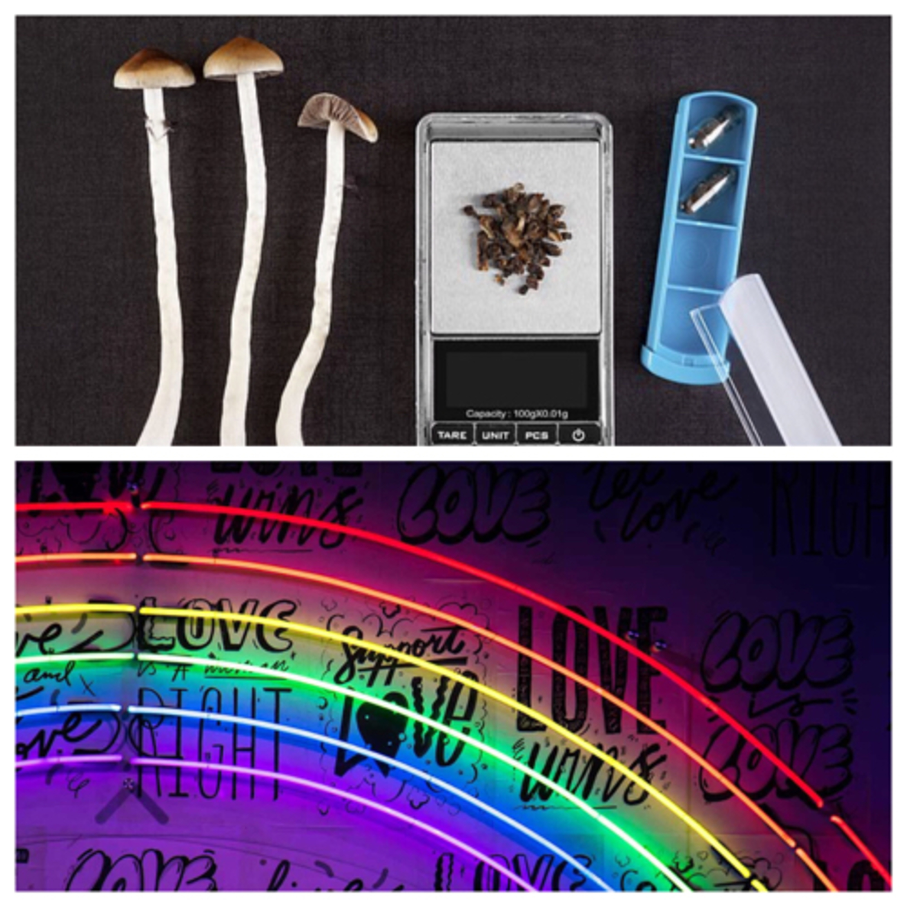 LGBQT community from a straight dude and Magic Mushroom market