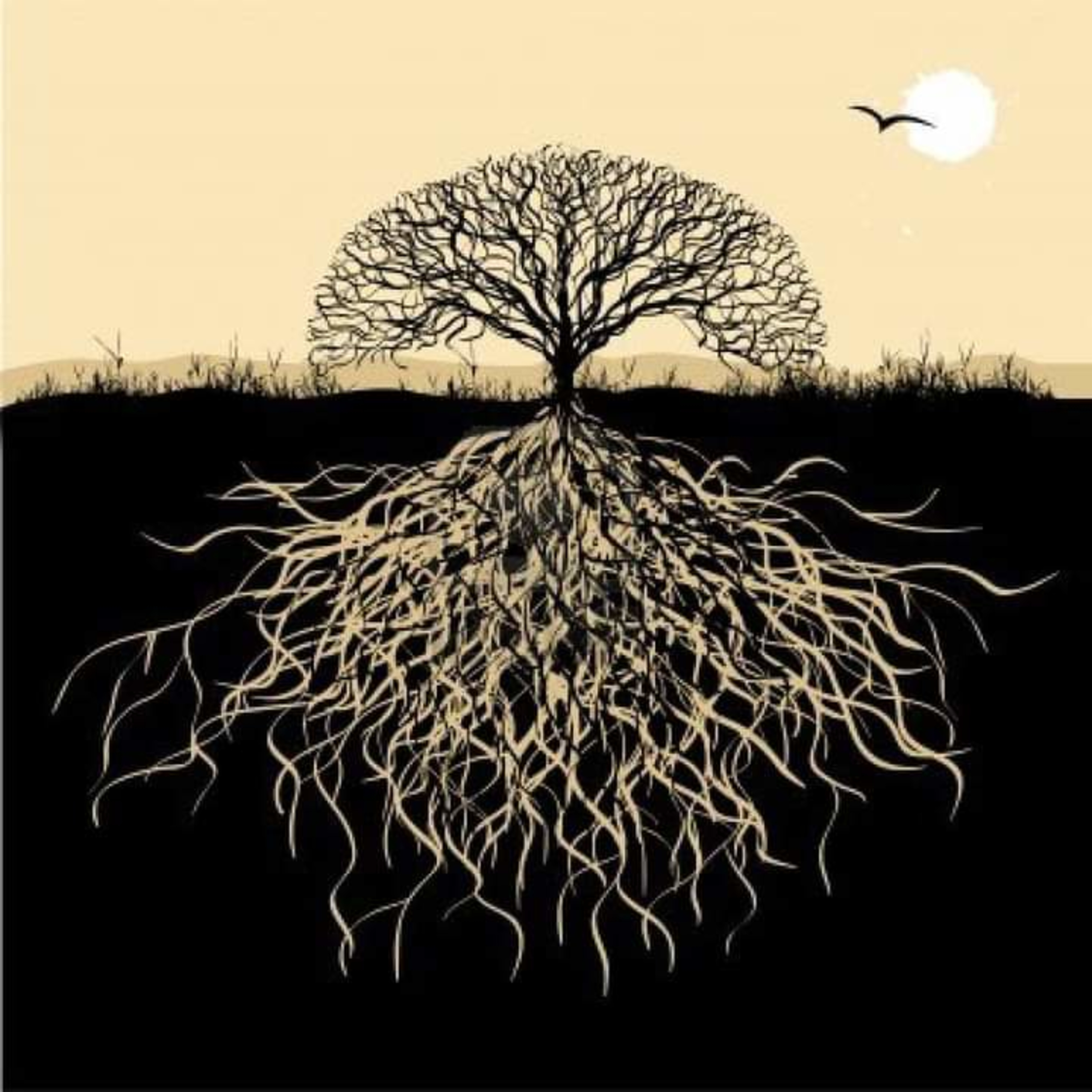 Raíz profunda episode artwork