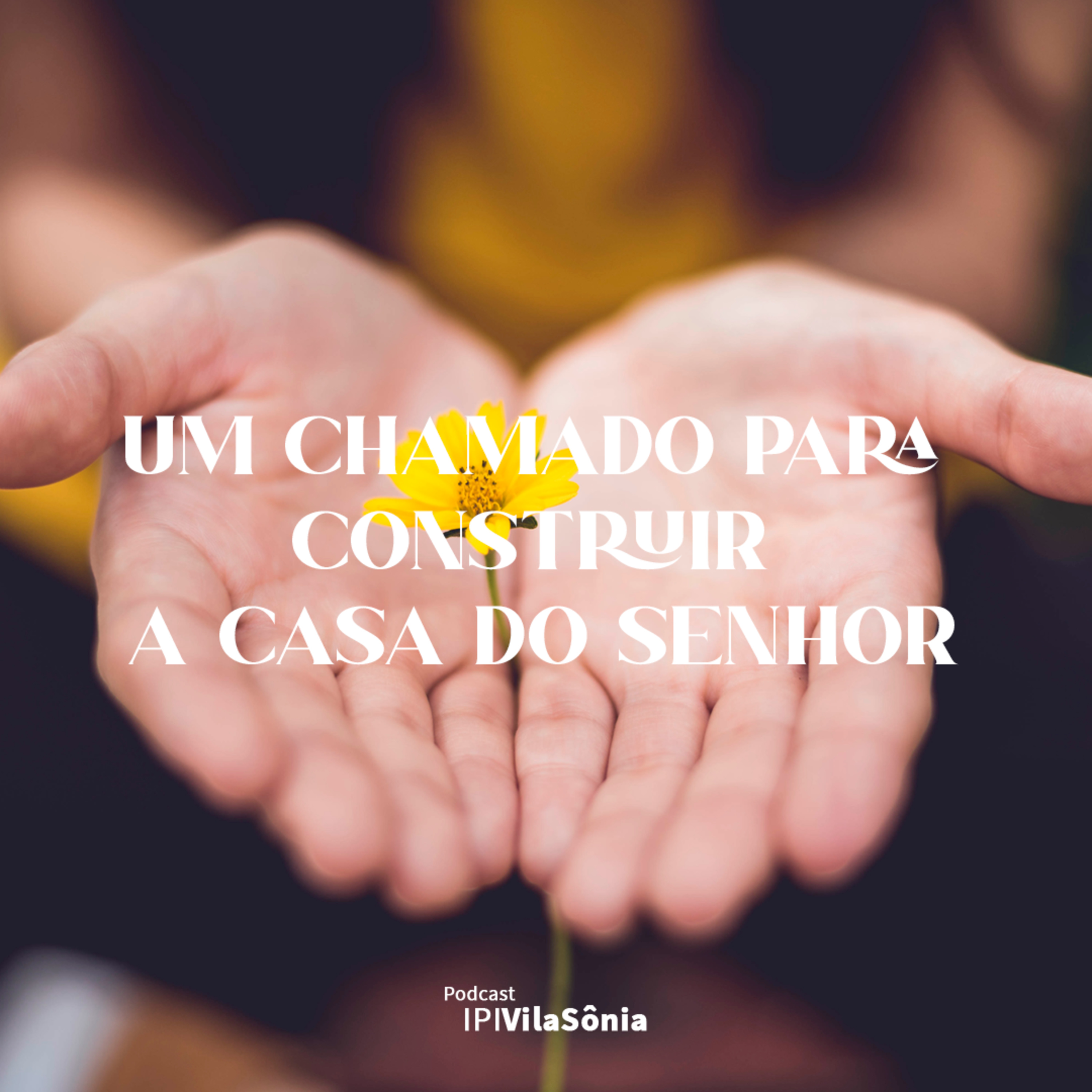 IPI Vila Sônia