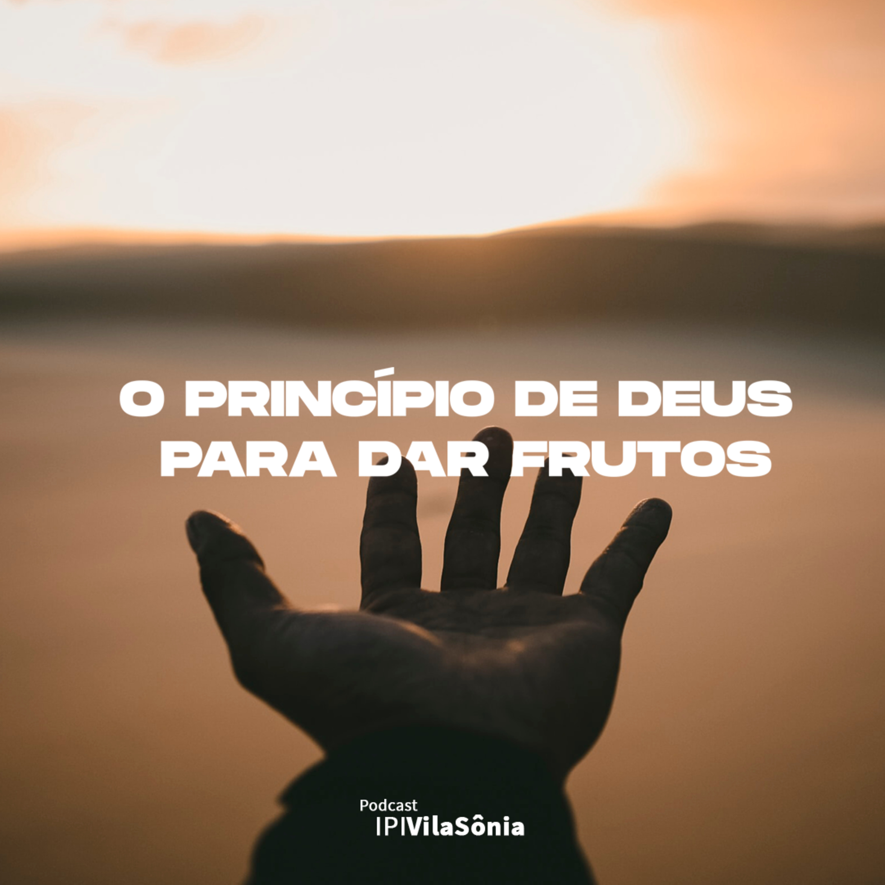 IPI Vila Sônia