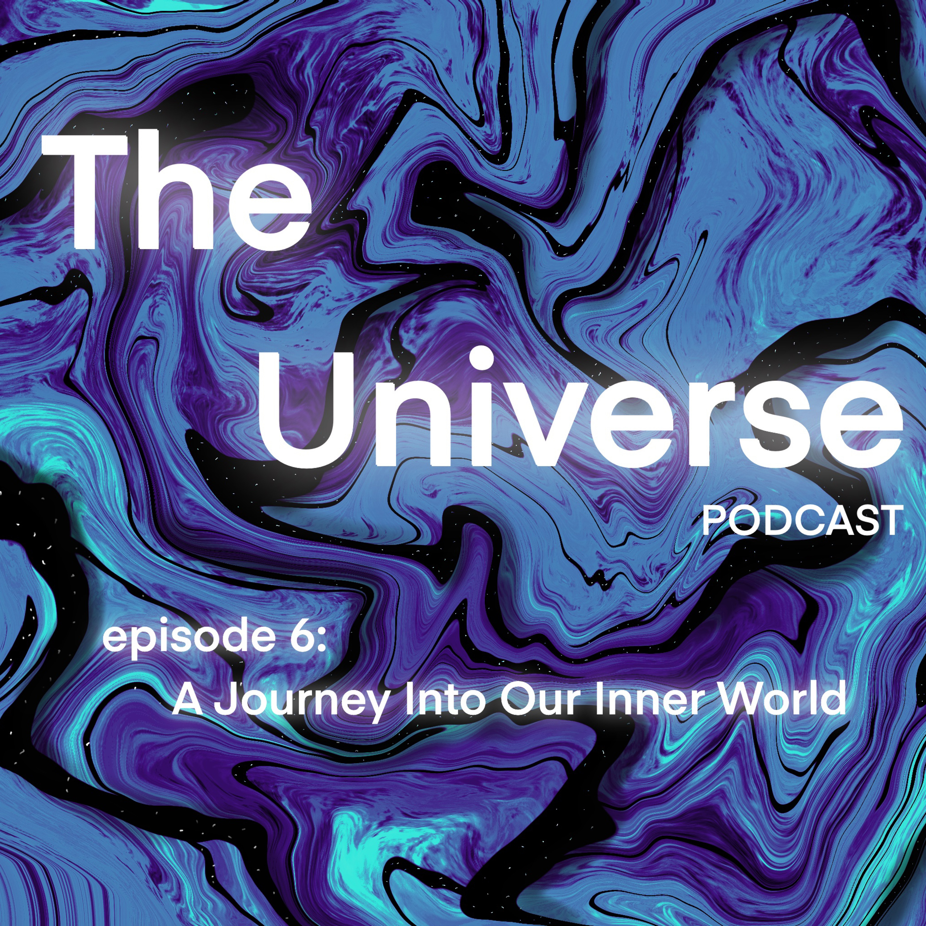Episode 6: A Journey Into Our Inner World