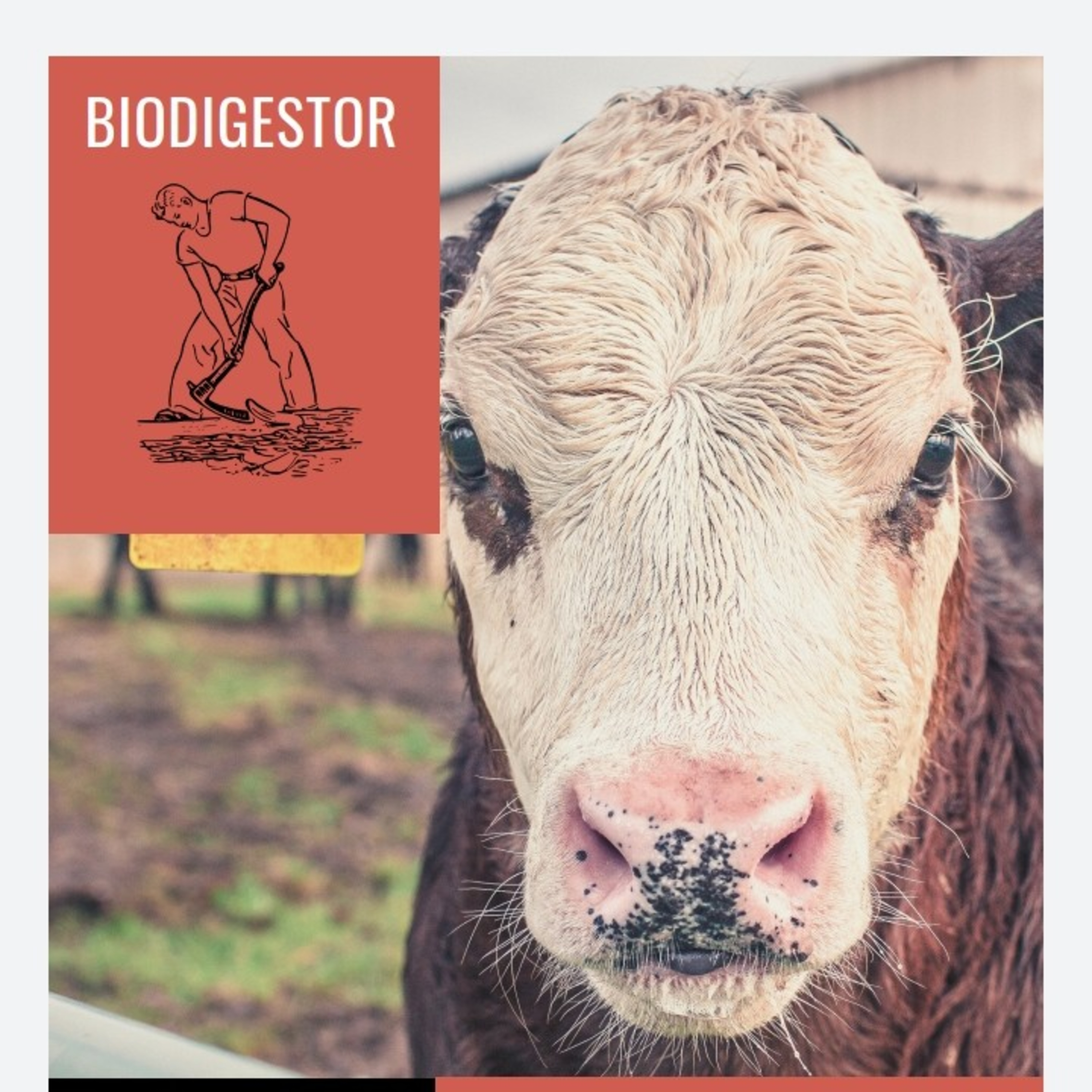 Biodigestor  episode artwork