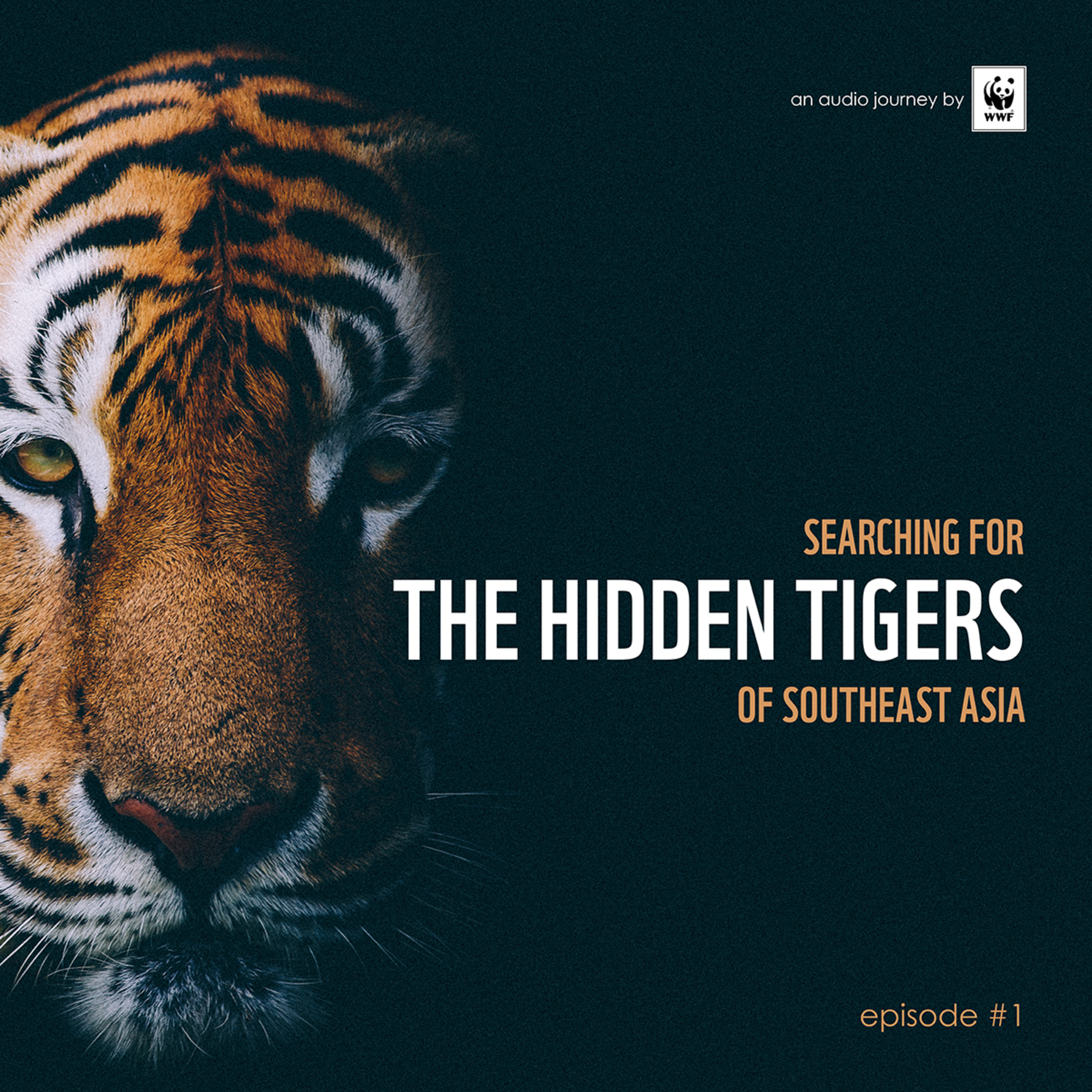 1 Searching for the Hidden Tigers of Southeast Asia
