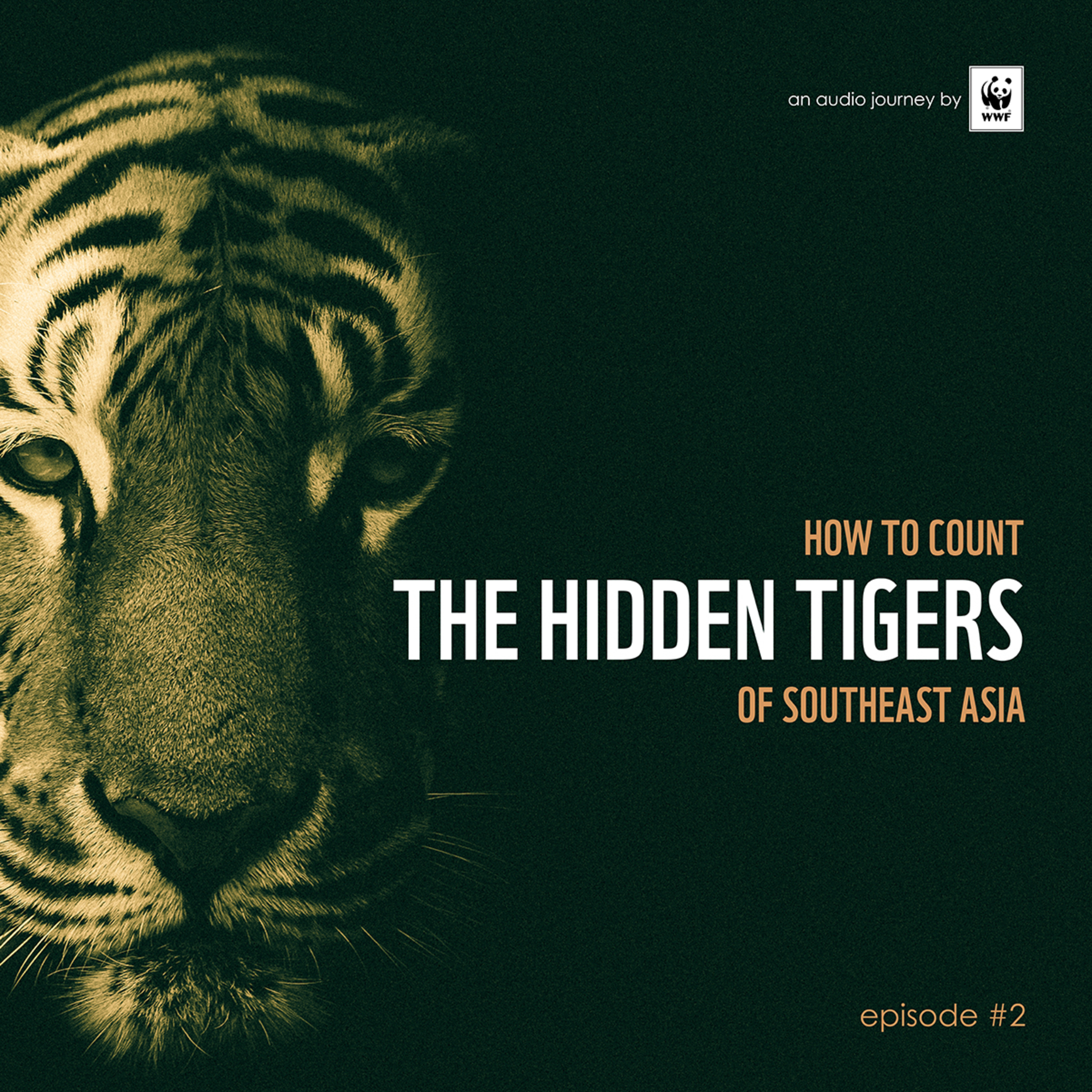 2 How to Count the Hidden Tigers of Southeast Asia