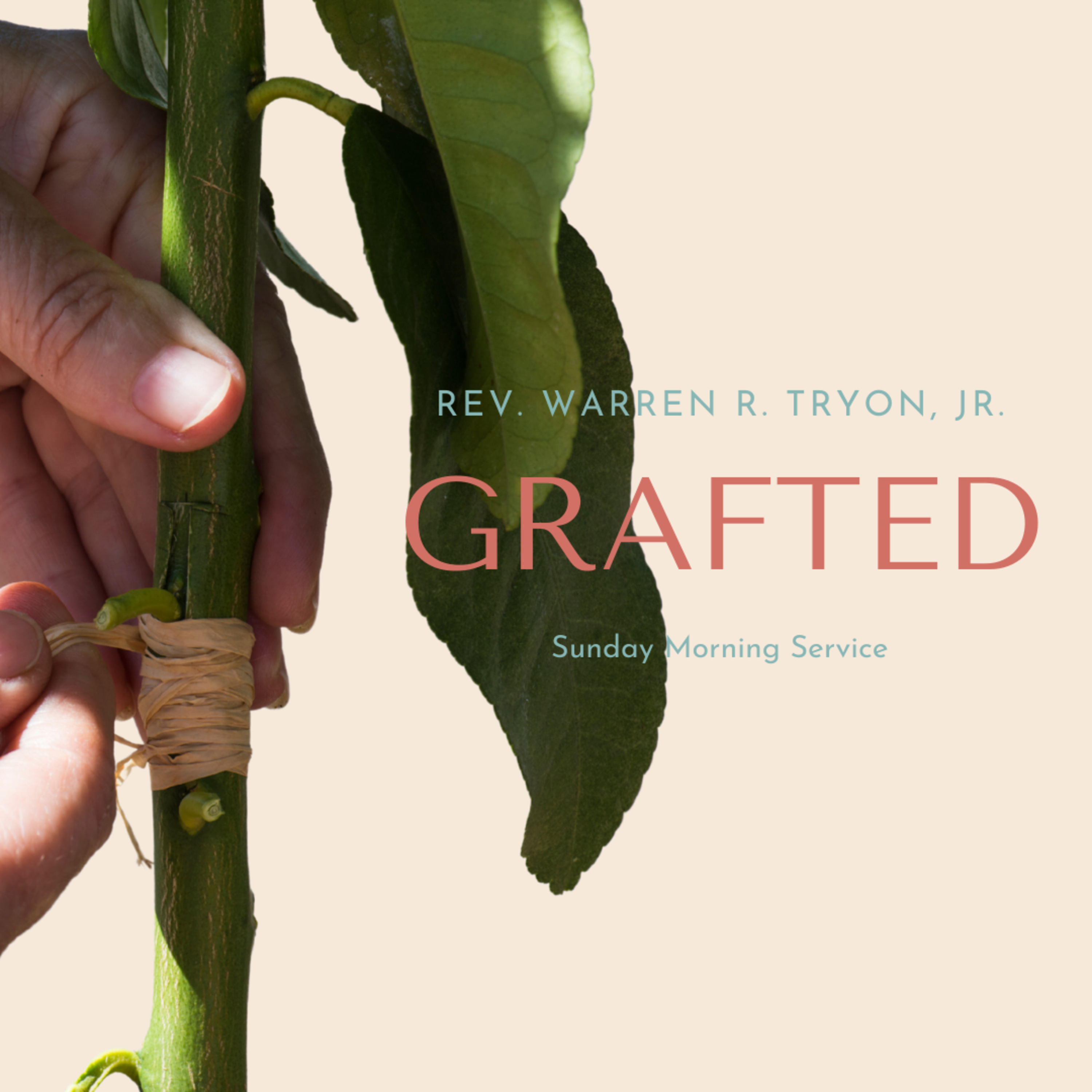 Grafted | Bishop Warren R. Tryon, Jr. | 5-16-21 episode artwork