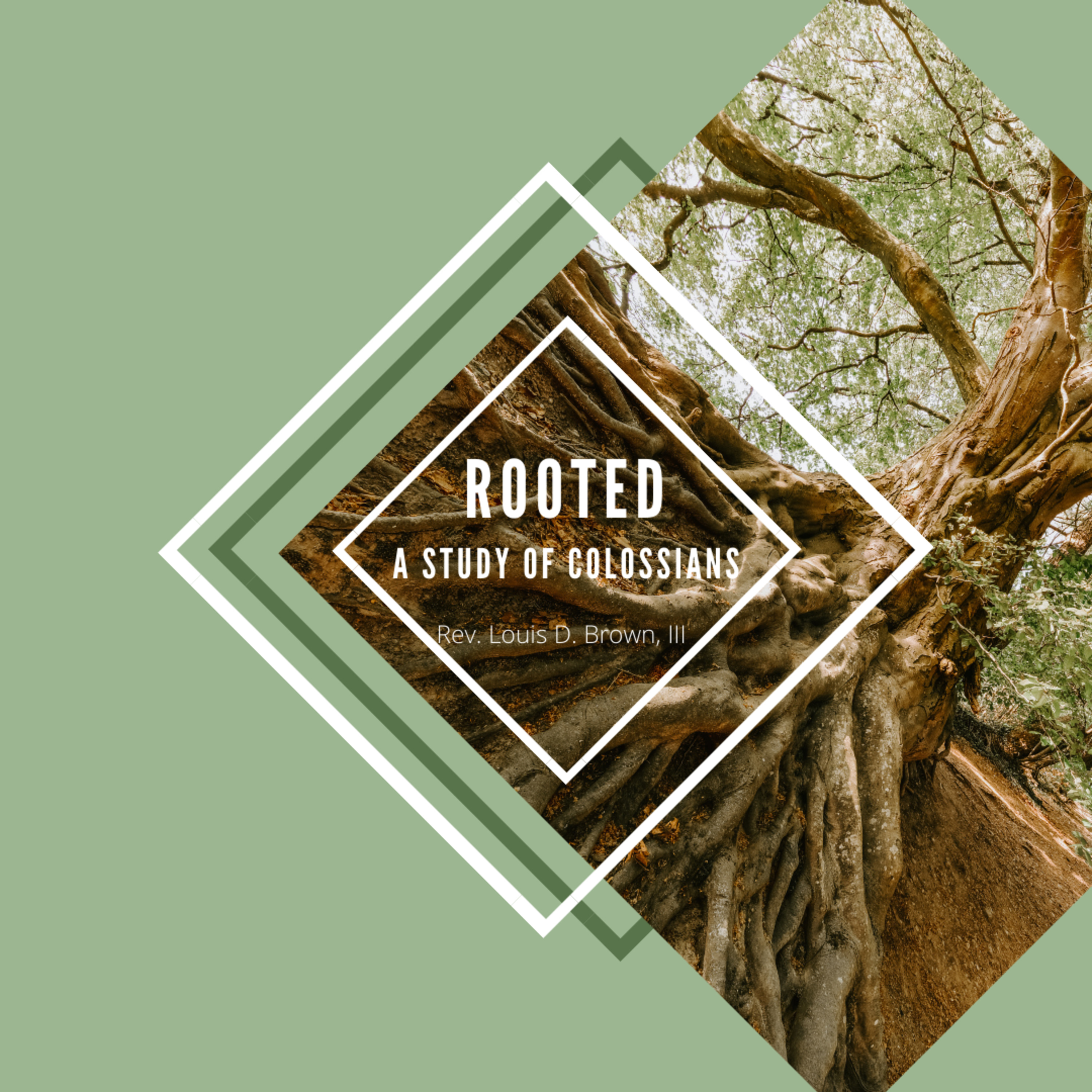 Rooted: A Study on Colossians Lesson 4 | Pastor Louis D. Brown, III | 4-28-21 episode artwork