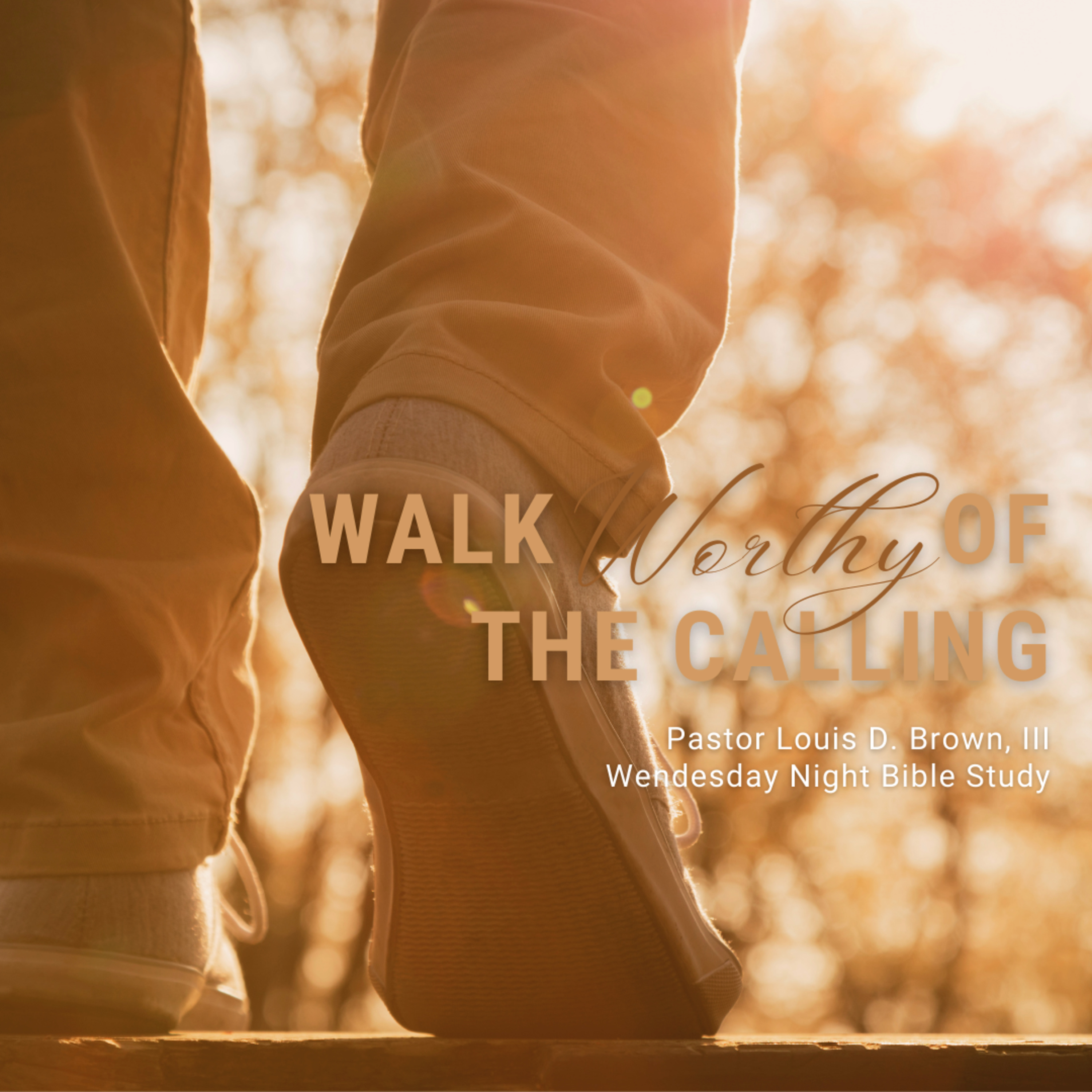 Walk Worthy of the Calling: Lesson 1 | Pastor Louis D. Brown, III | 4-27-22 episode artwork