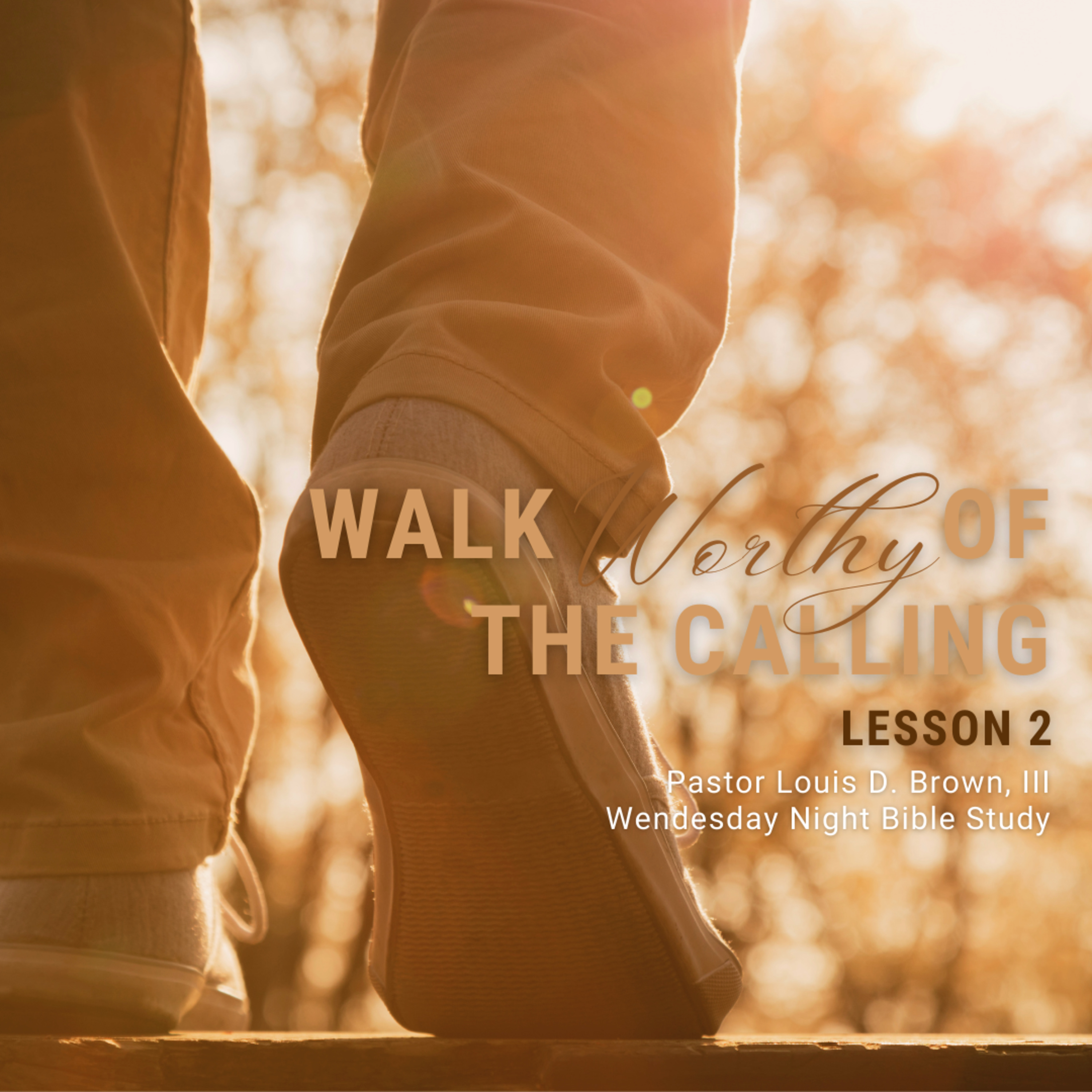 Walk Worthy of the Calling: Lesson 2 | Pastor Louis D. Brown, III | 5-4-22 episode artwork