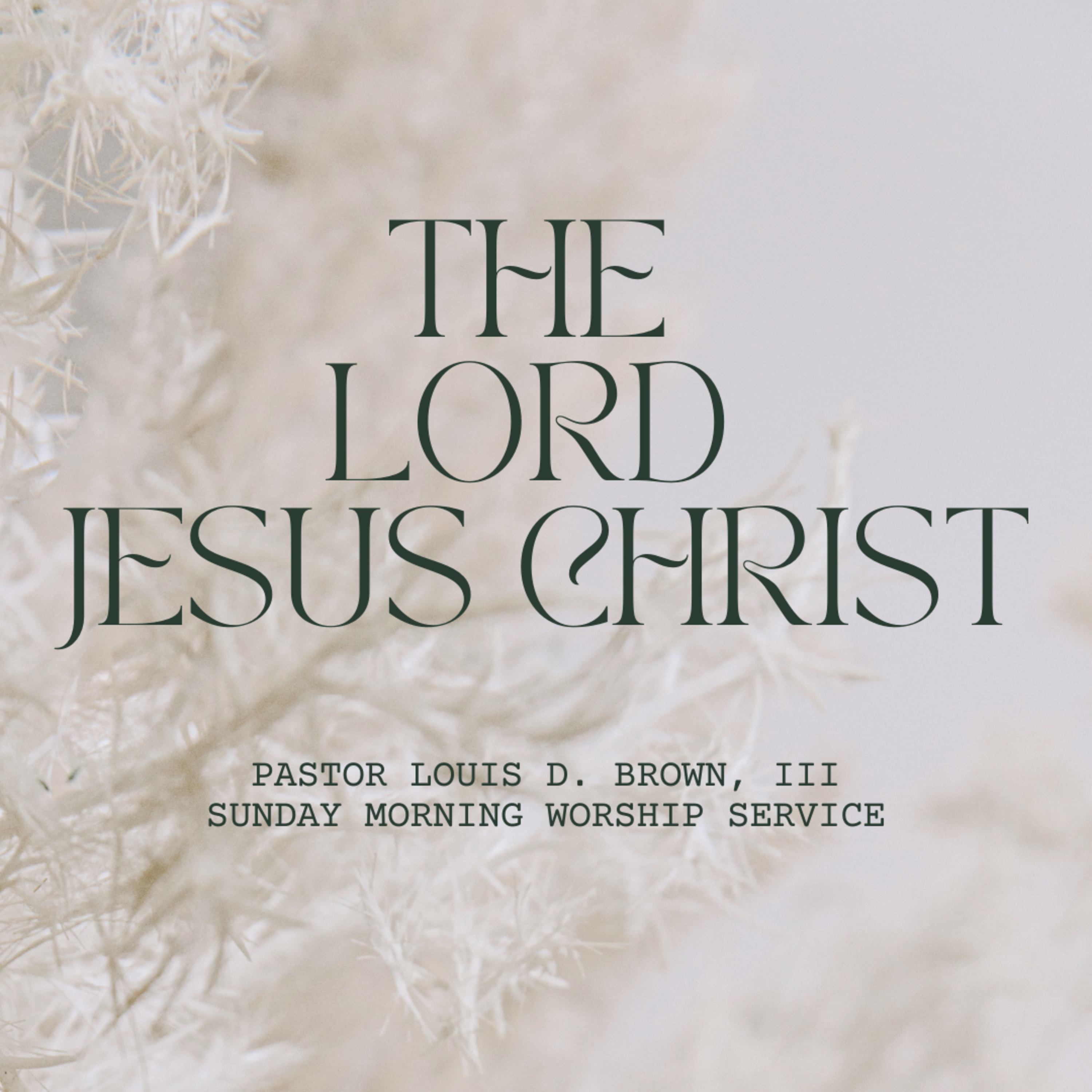 The Lord Jesus Christ | Pastor Louis D. Brown, III | 10.23.22 episode artwork