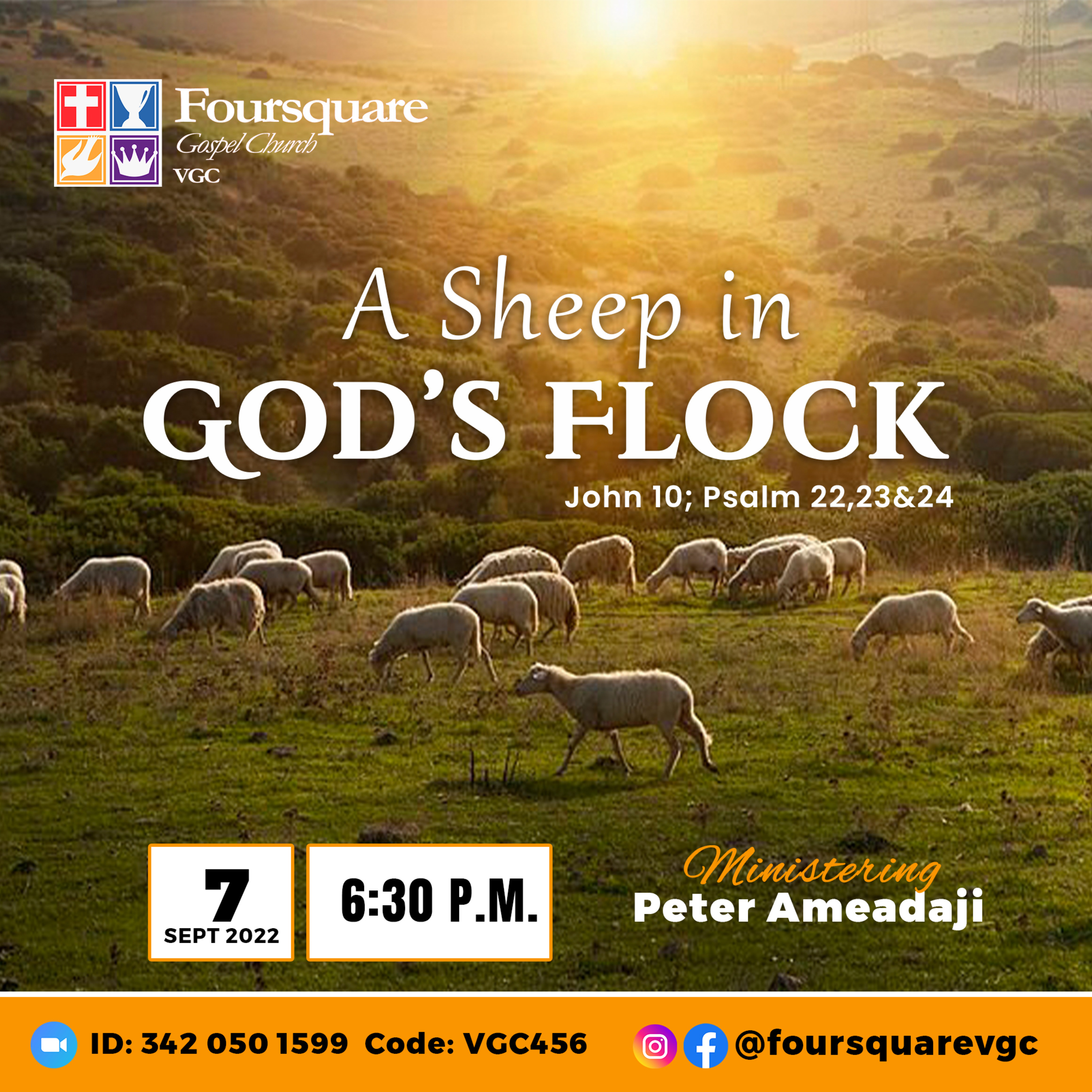 A SHEEP IN GOD’S FLOCK : REV PETER AMEADAJI episode artwork