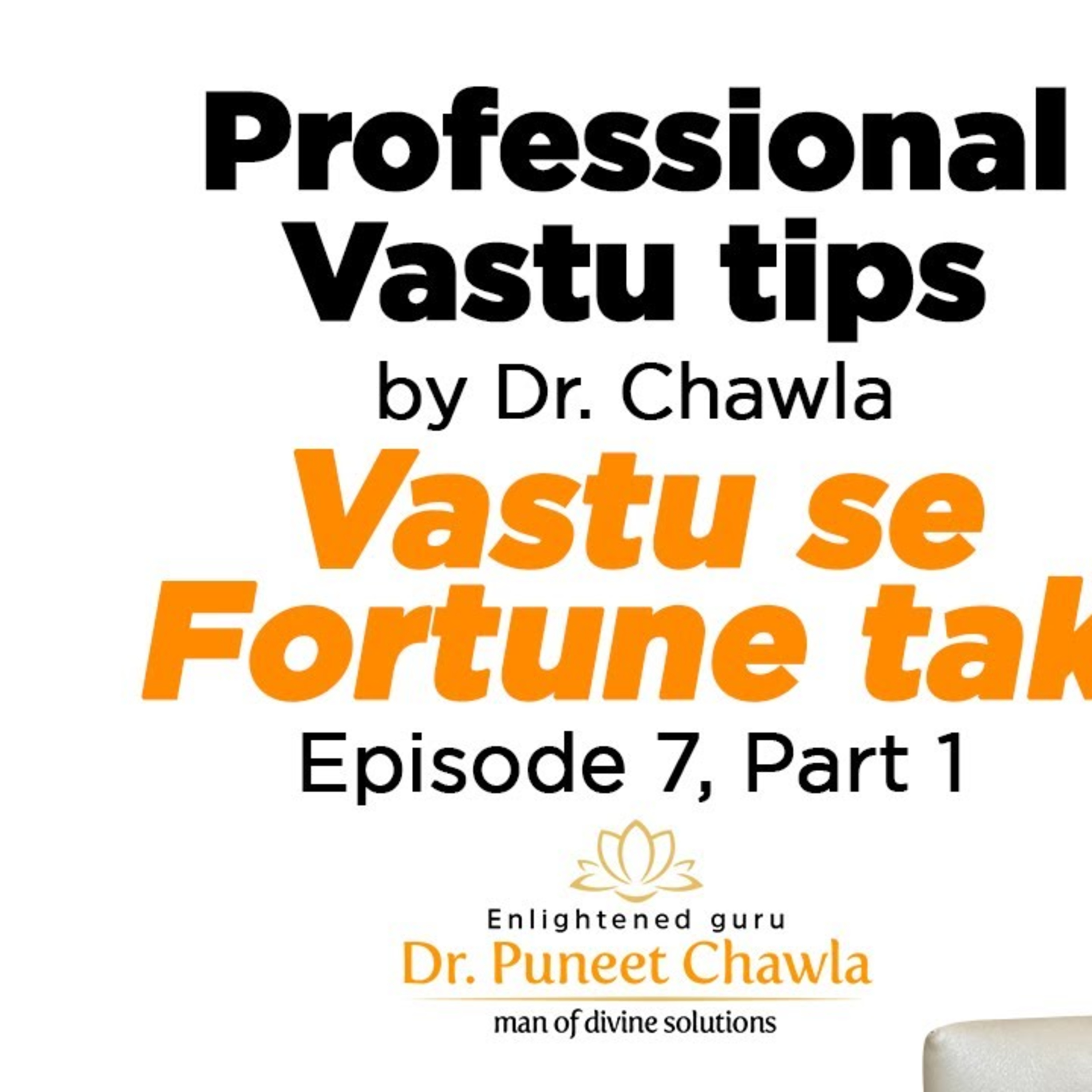 World Famous Vastu Expert Dr Puneet Chawla