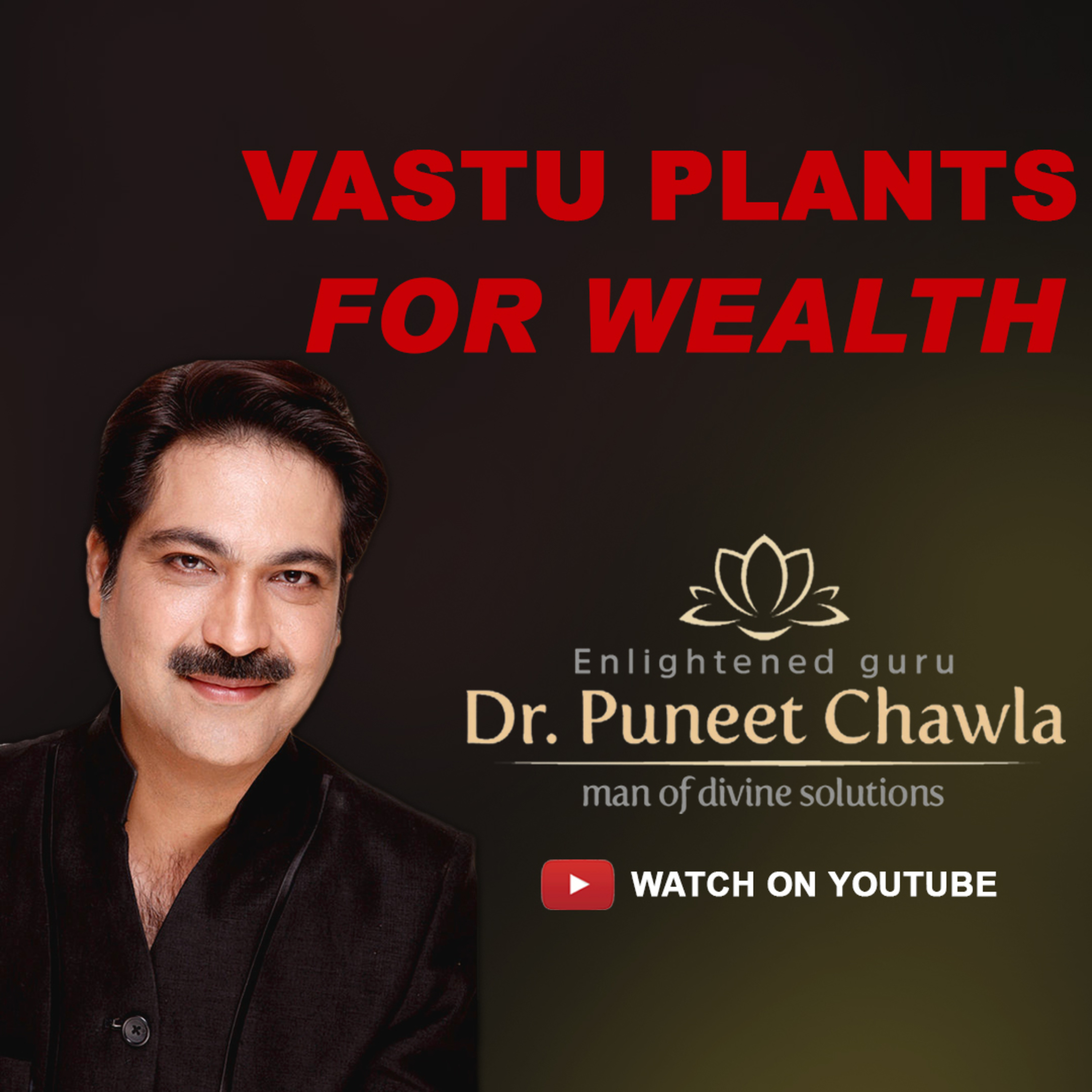 World Famous Vastu Expert Dr Puneet Chawla