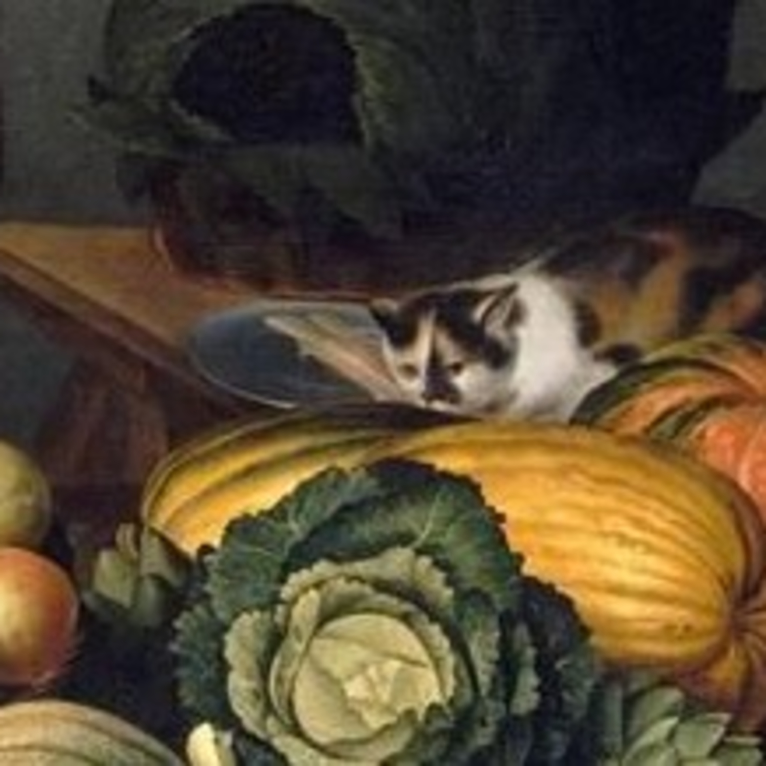 Spot the Cat episode artwork