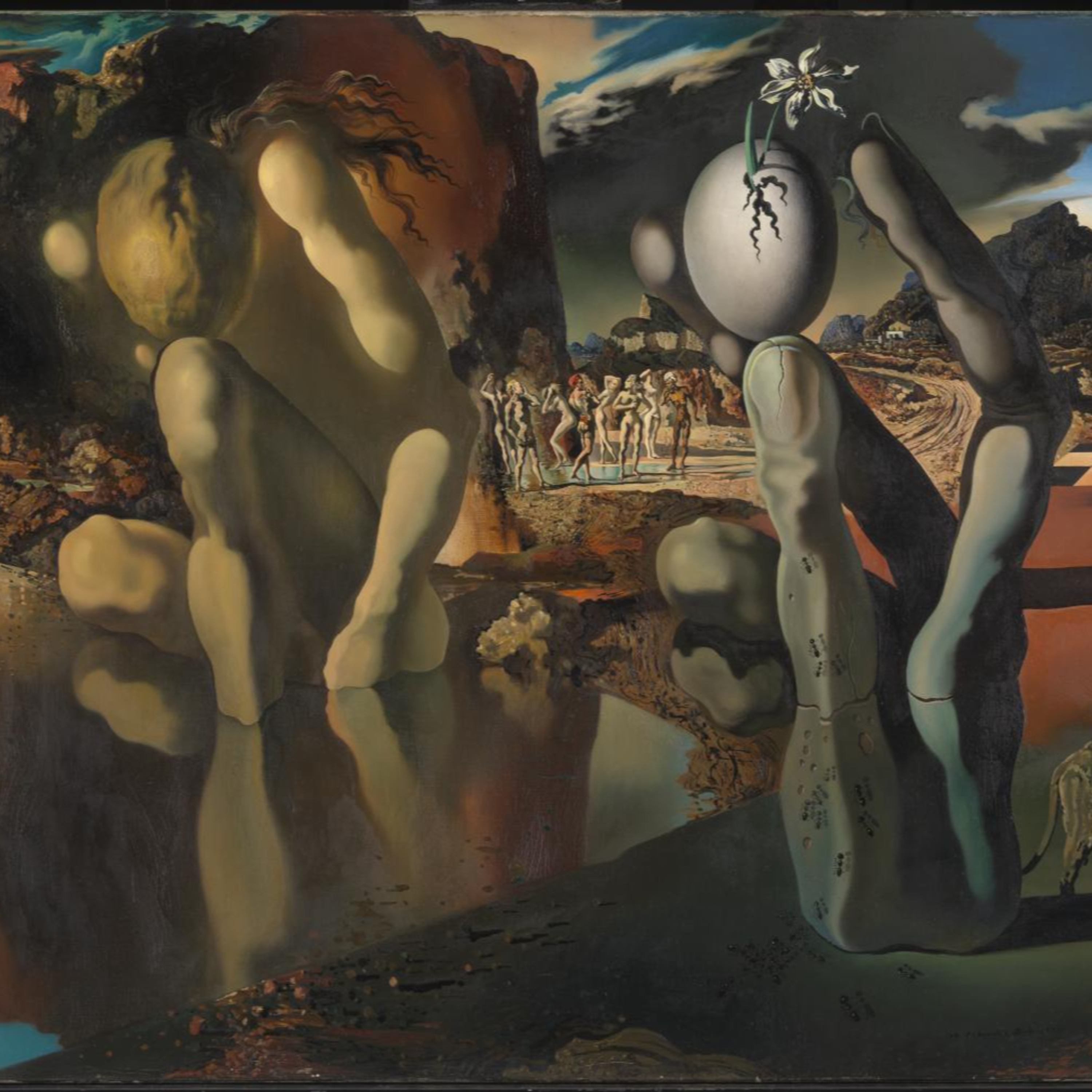 The Metamorphosis of Narcissus