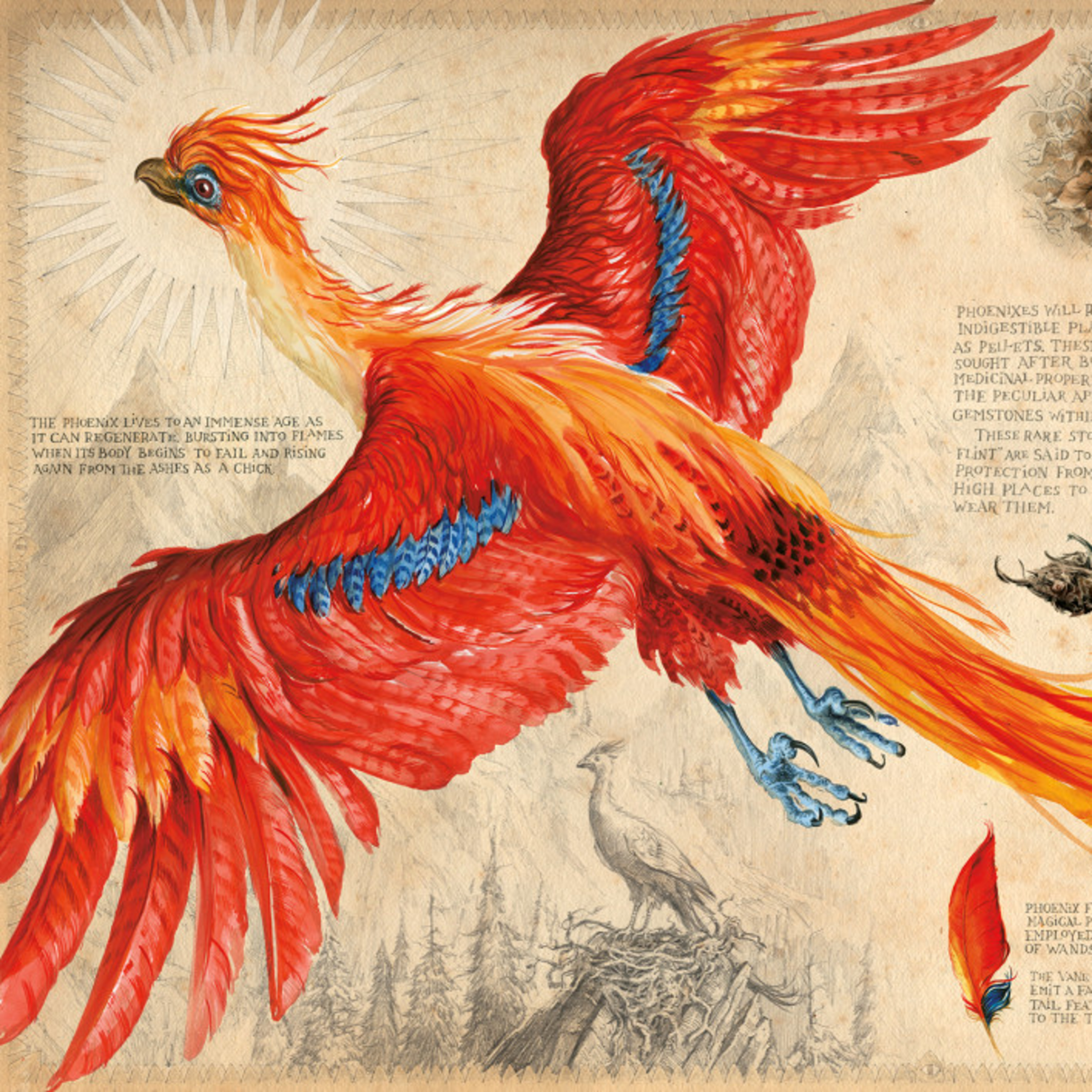 Harry Potter: A History of Magic episode artwork