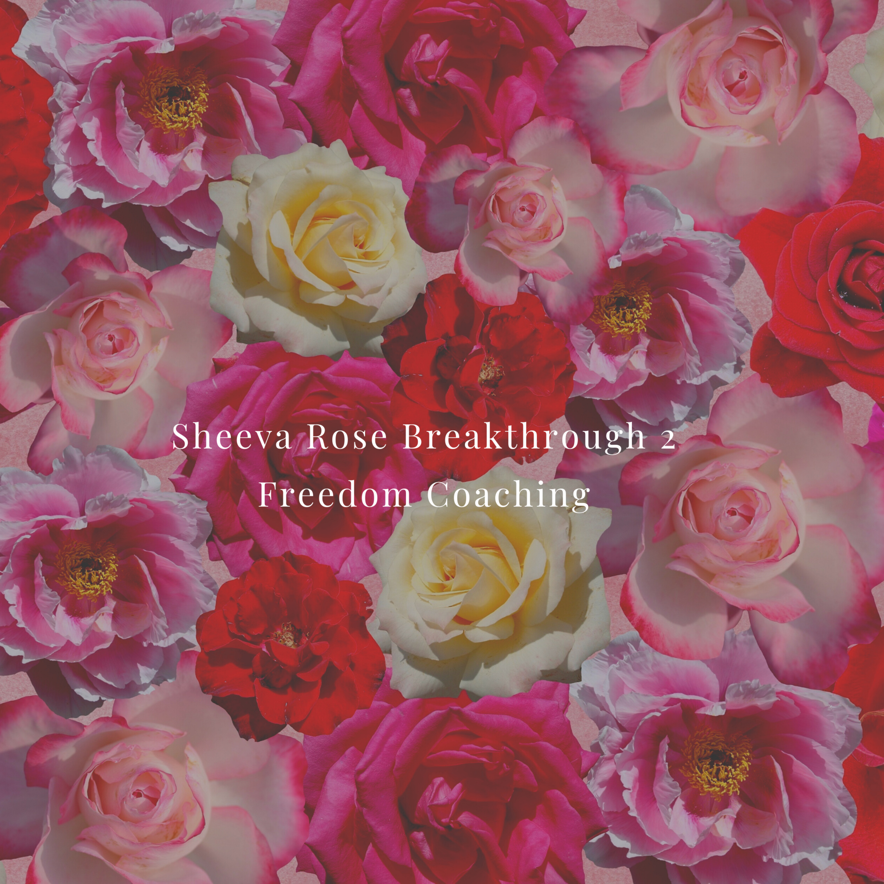 Sheeva Rose - Women Celebrating Women